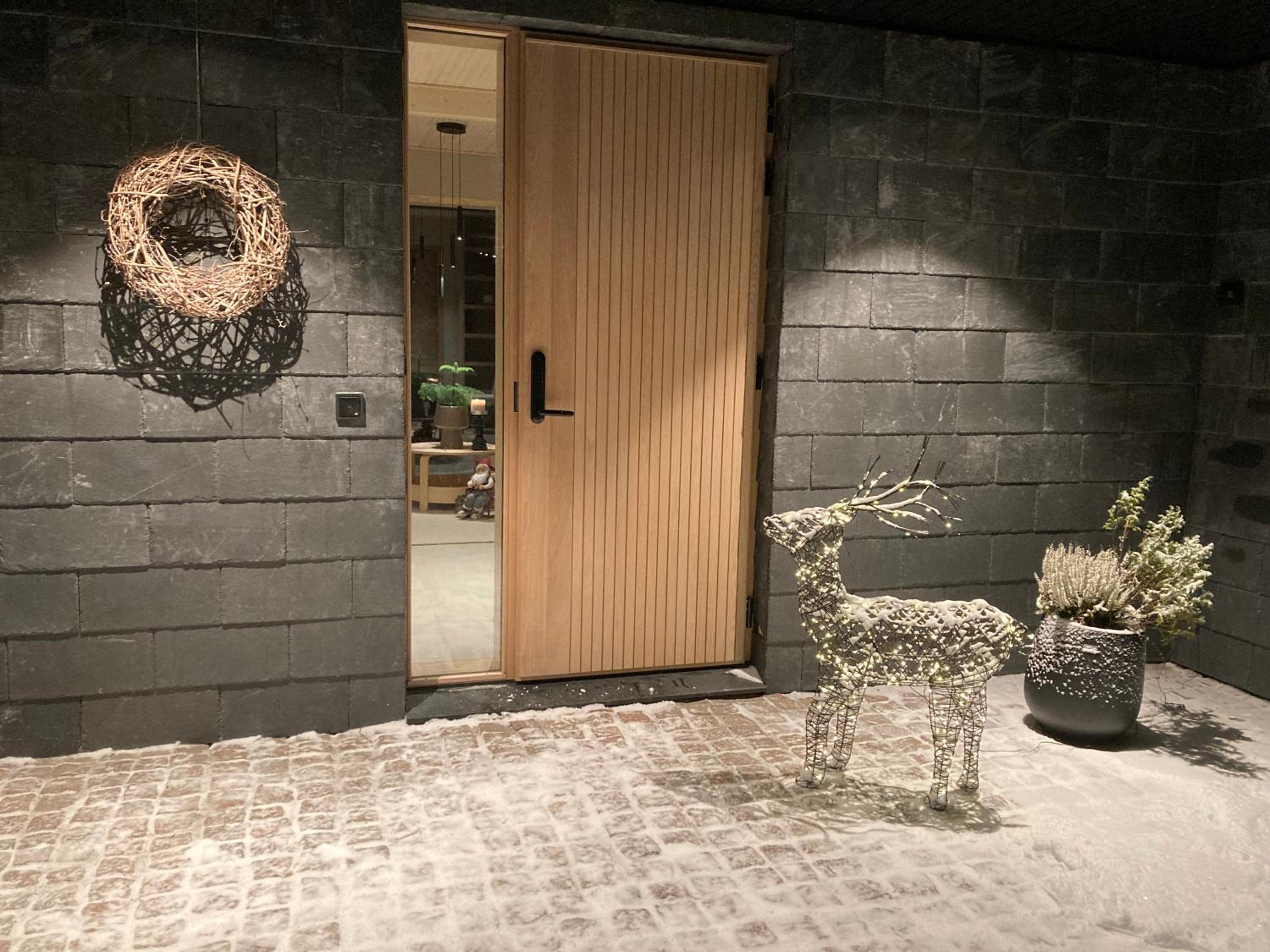 Arctic Design Villa Levi