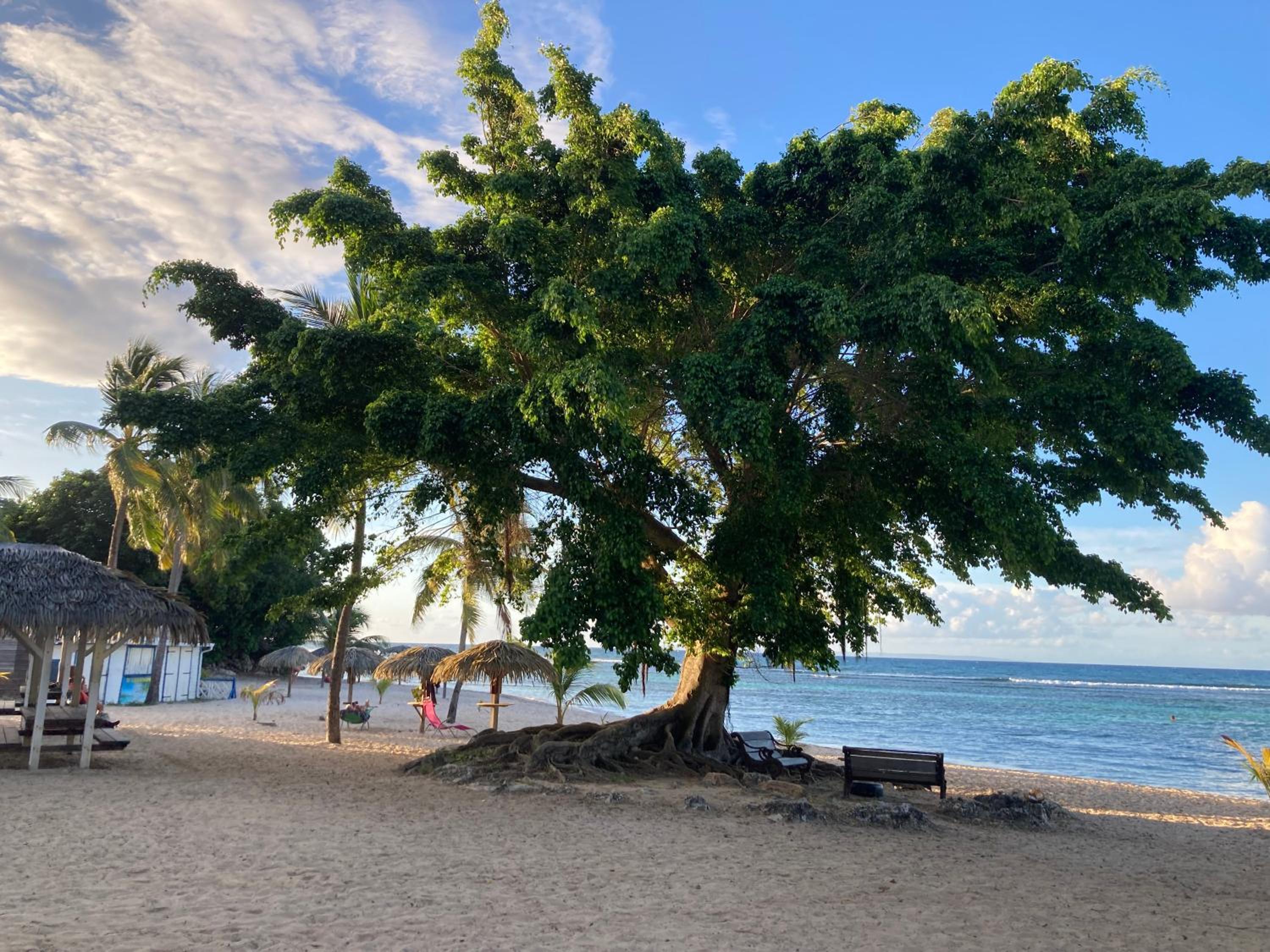 other