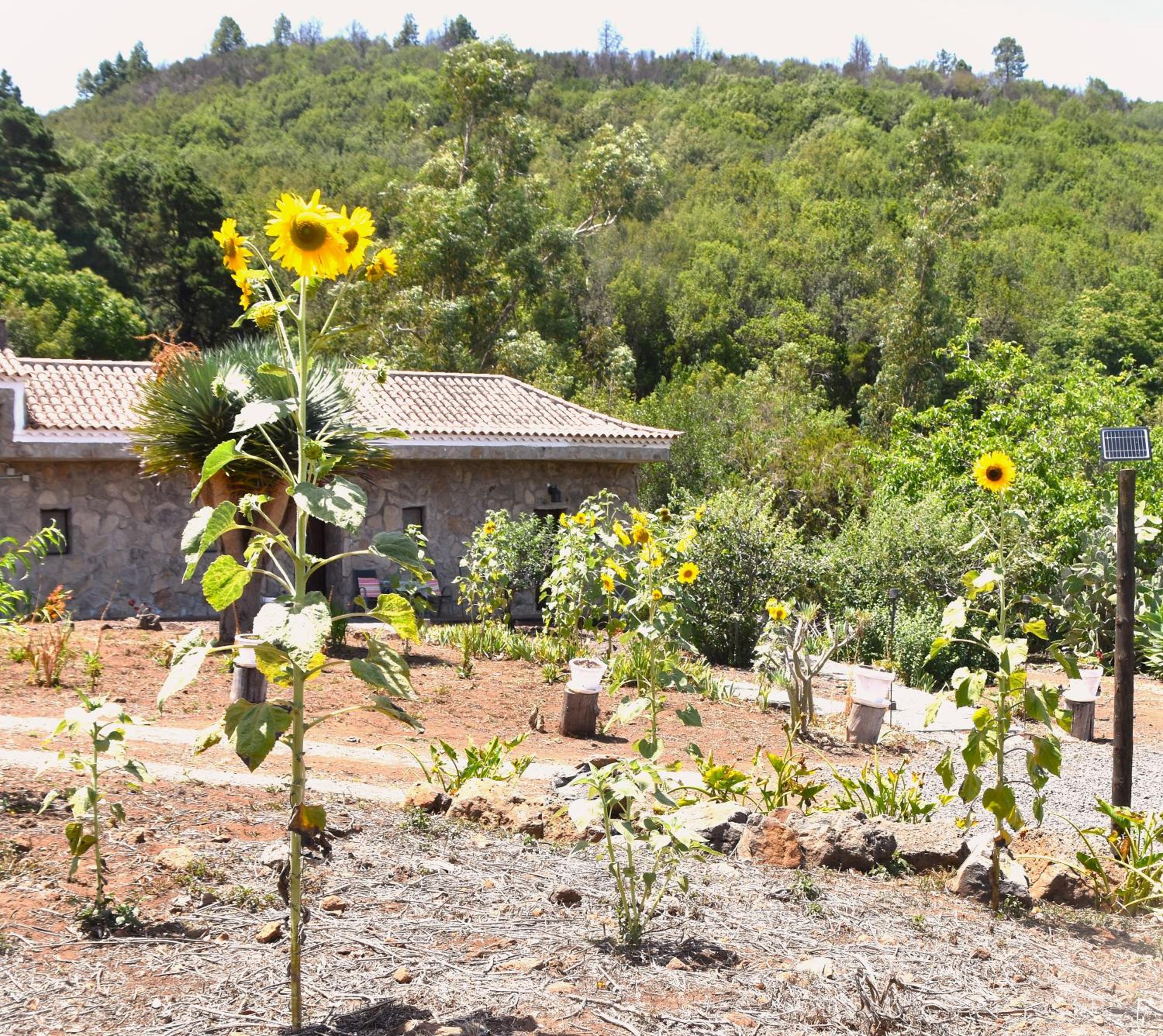 Casa Rural La Gustoza