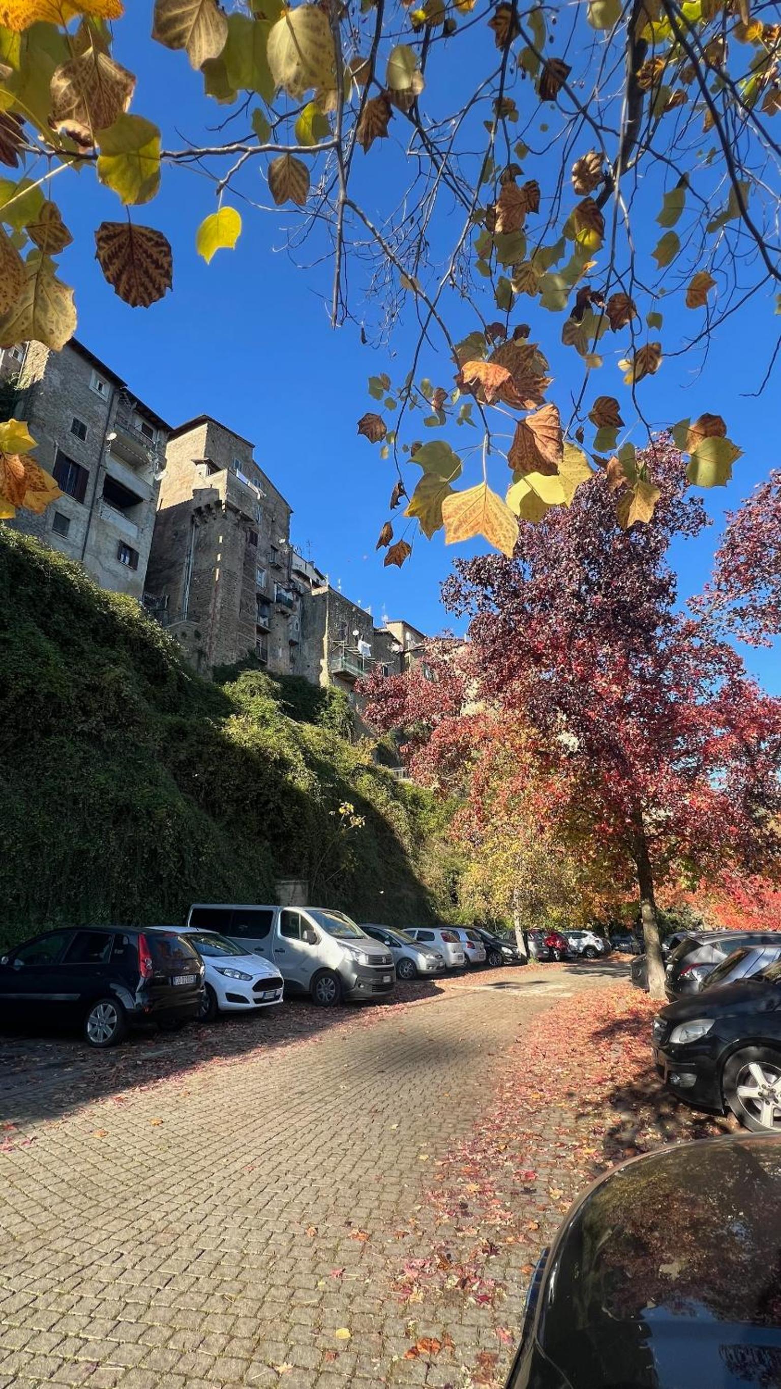 parking