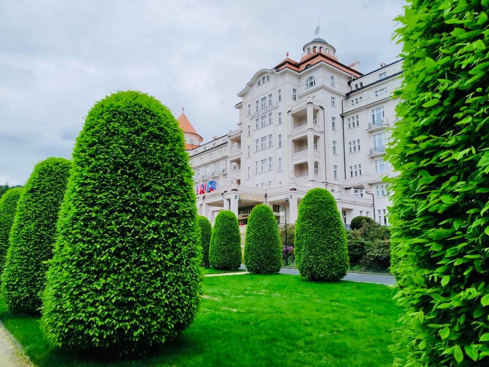 ArtFlora KV Premium