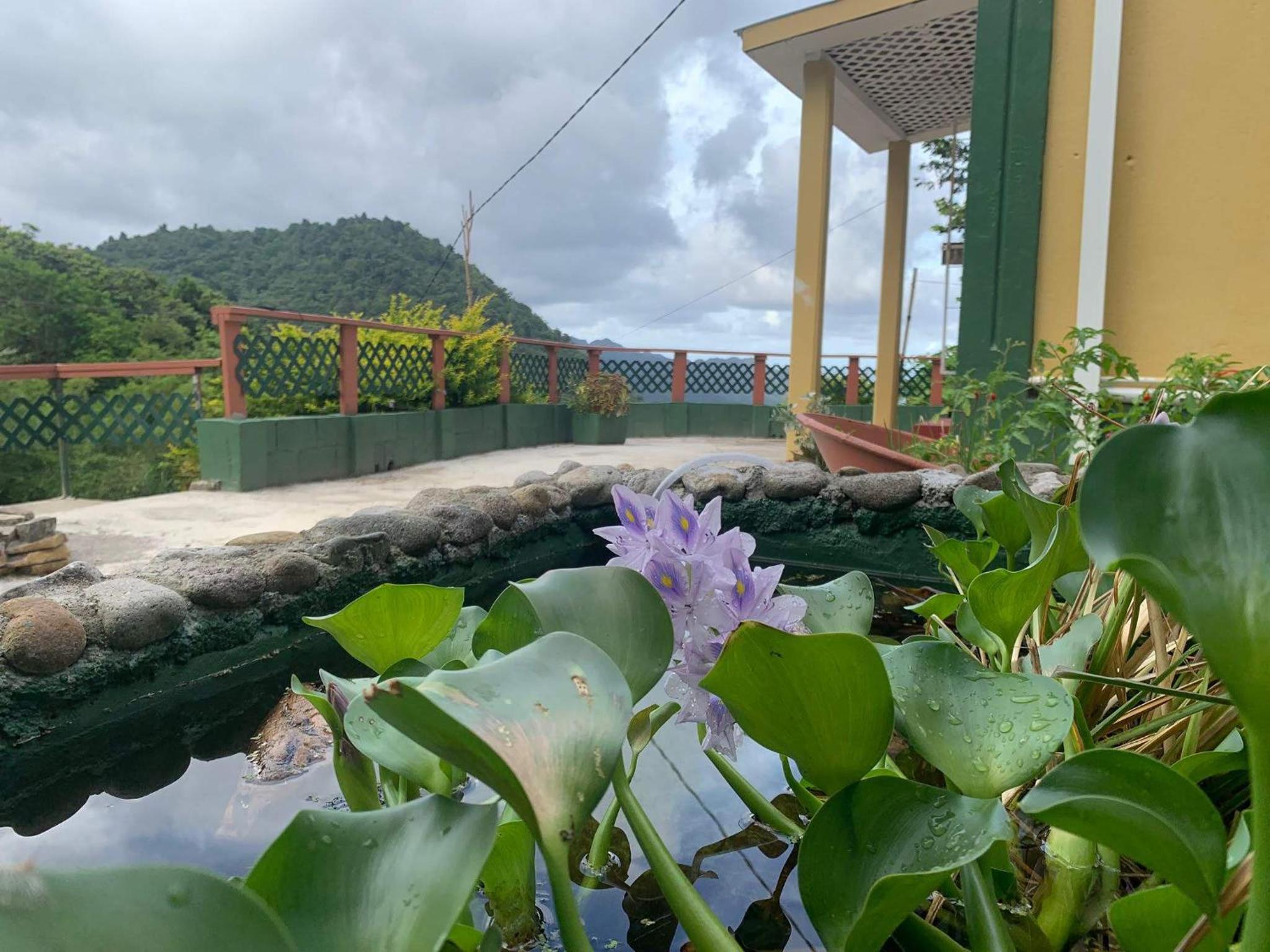 Grand Bay Dominica Sunrise Guesthouse