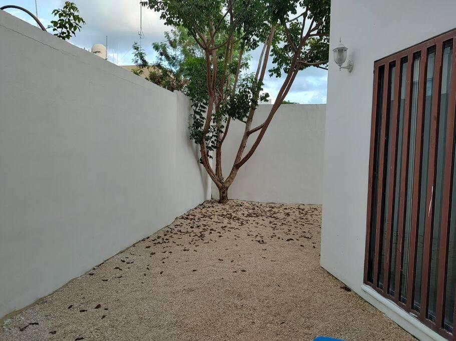 Casa Majito, photo 14