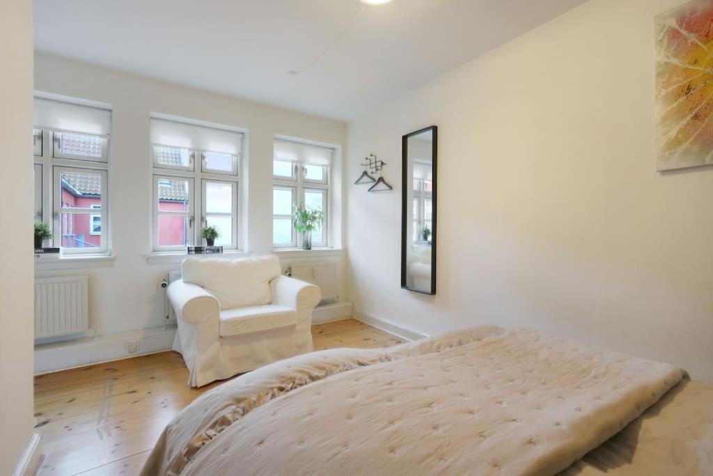 Cozy apartment central in CPH