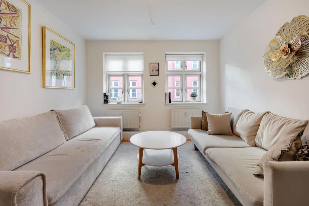 Cozy apartment central in CPH