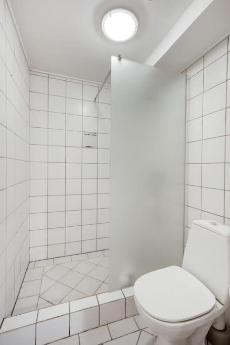 Cozy apartment central in CPH