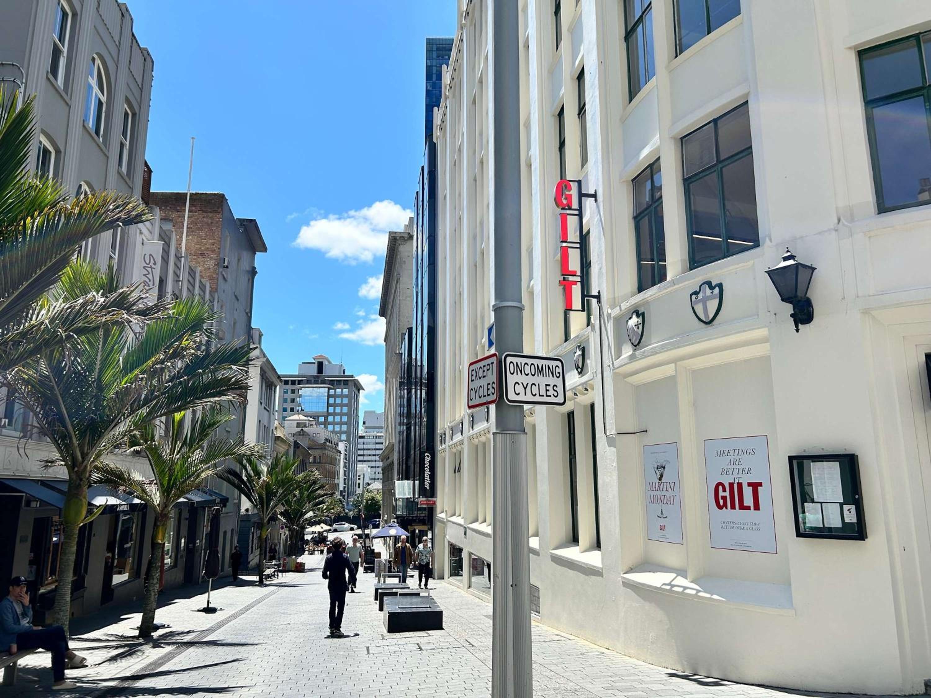 Heart of Auckland 1BR Gem with Pool and Gym Access view 4