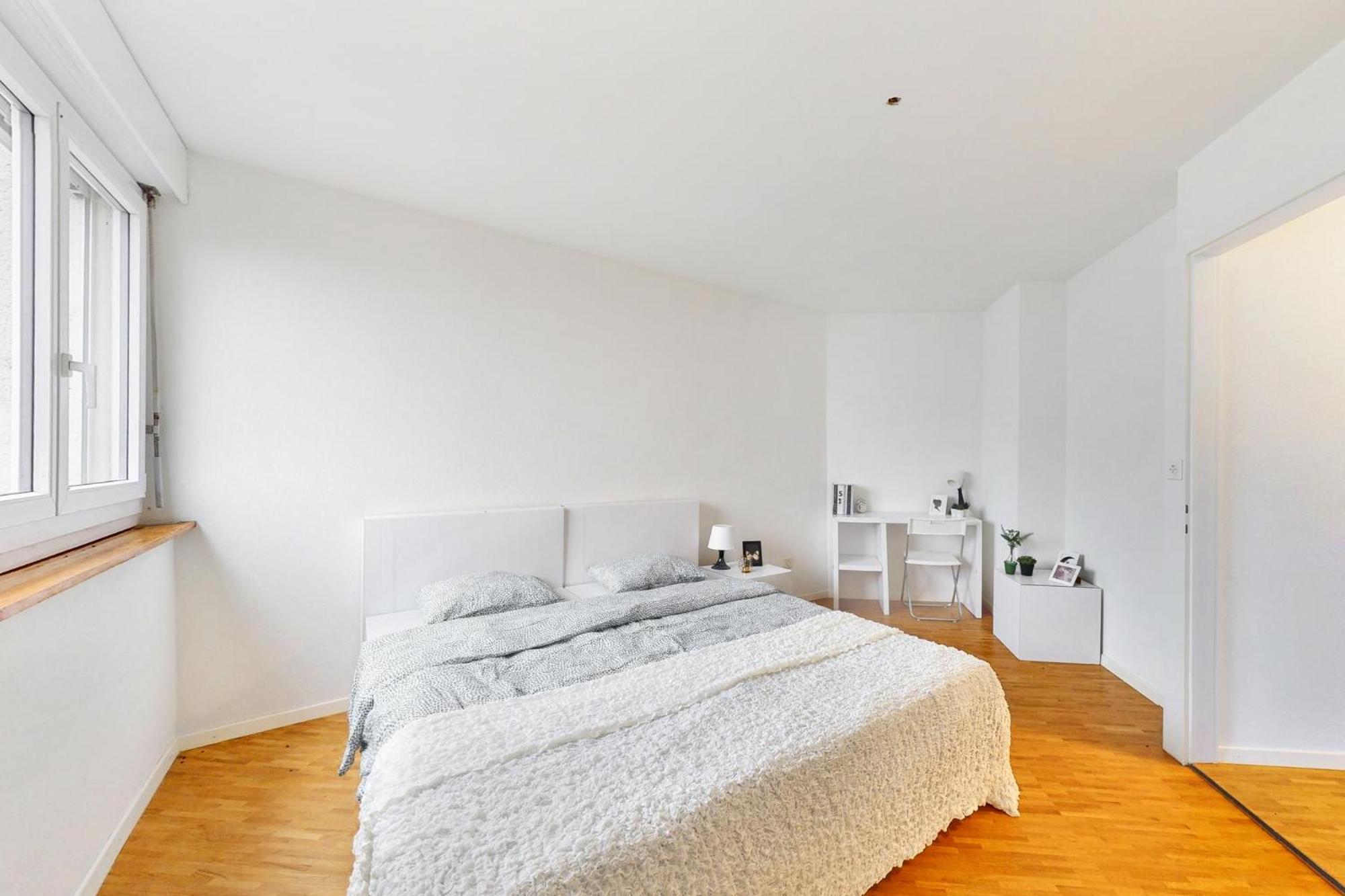 2 bedroom apartment entire place in switzerland