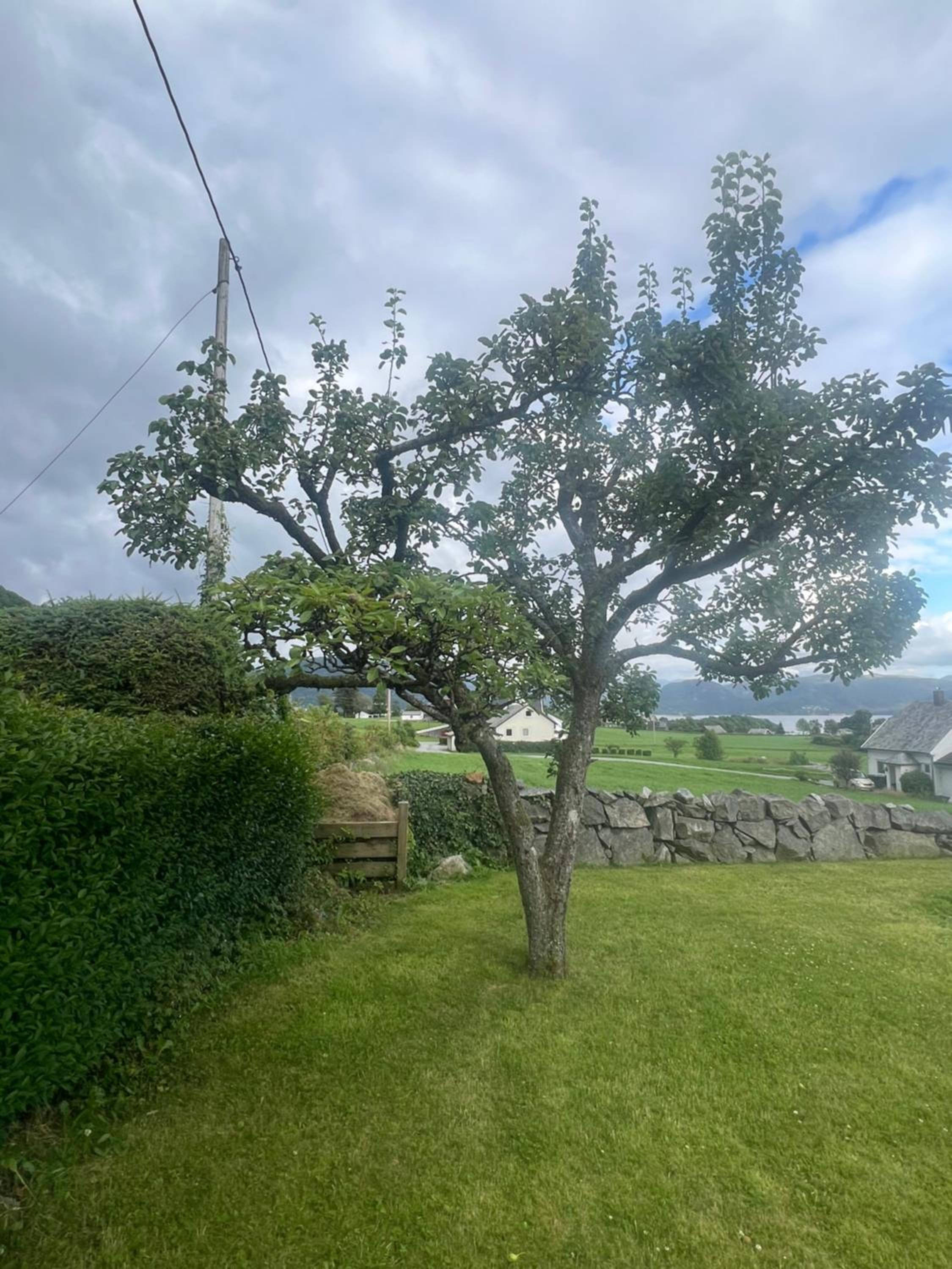 Entire house with view over the fjord view 5