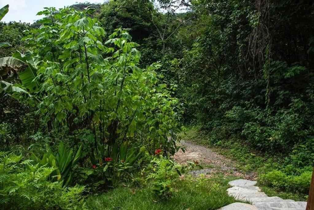 Chalé da LUA Natureza Cachoeira Paz