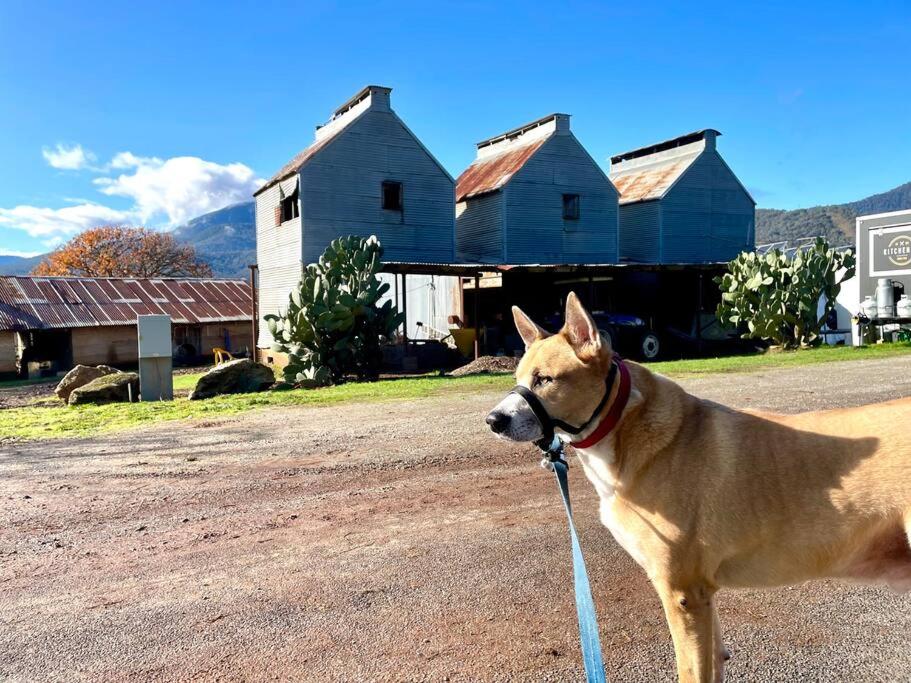 White Rabbit Mountain Guest House