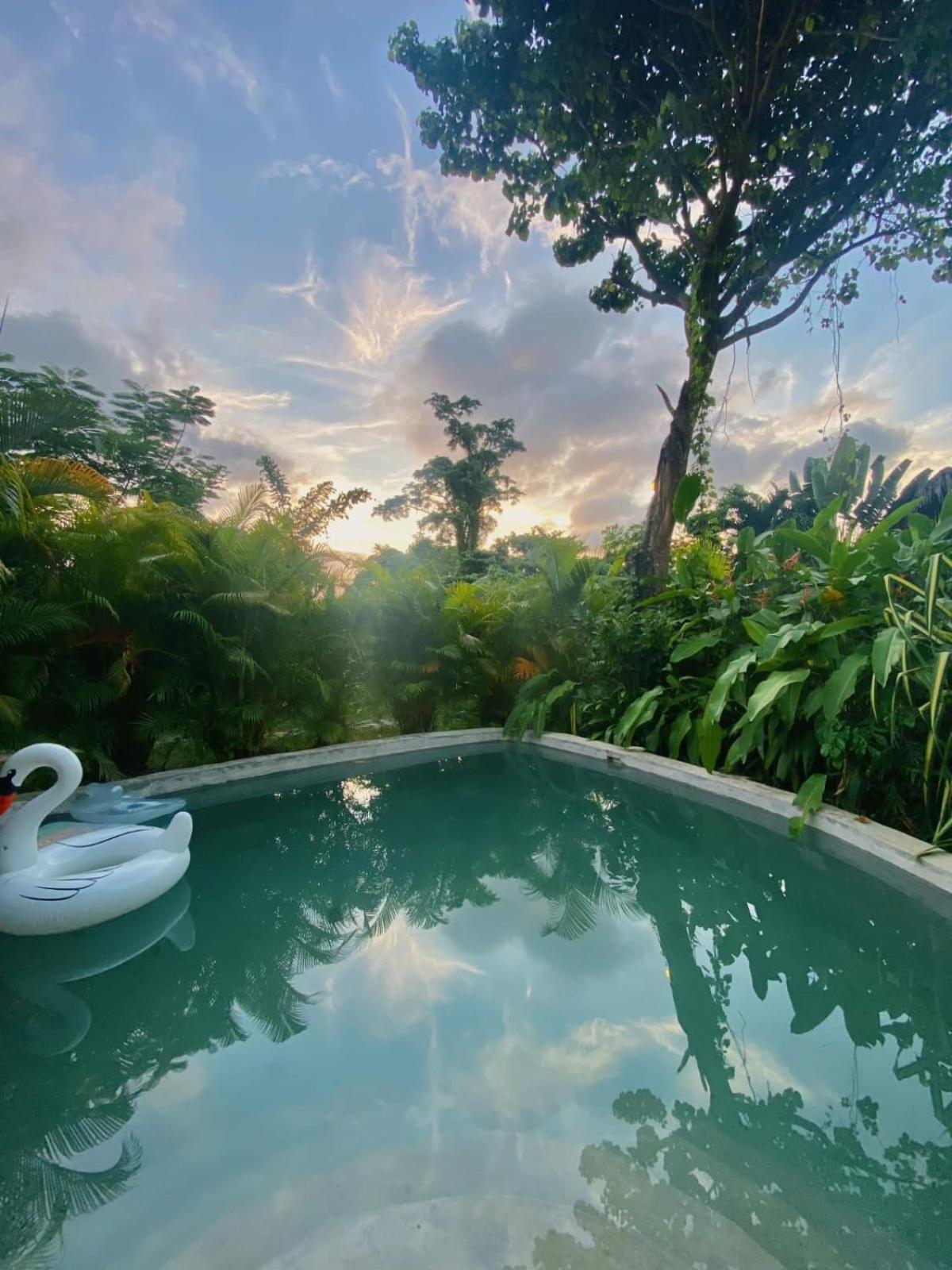 Hotel Bungalows India, El Valle, Samana - Image 1