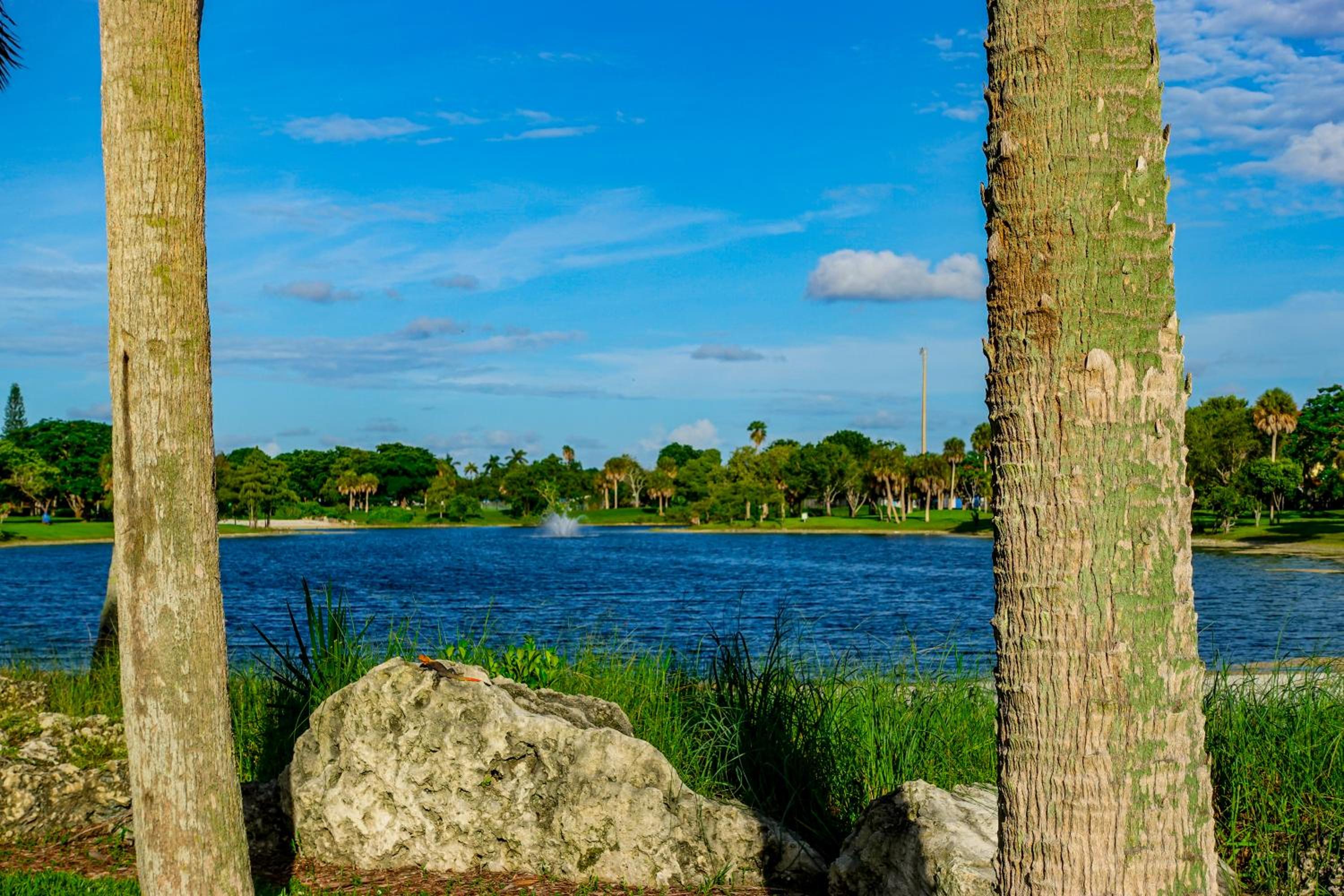 The Miamiville - Hidden Gem with Free Parking