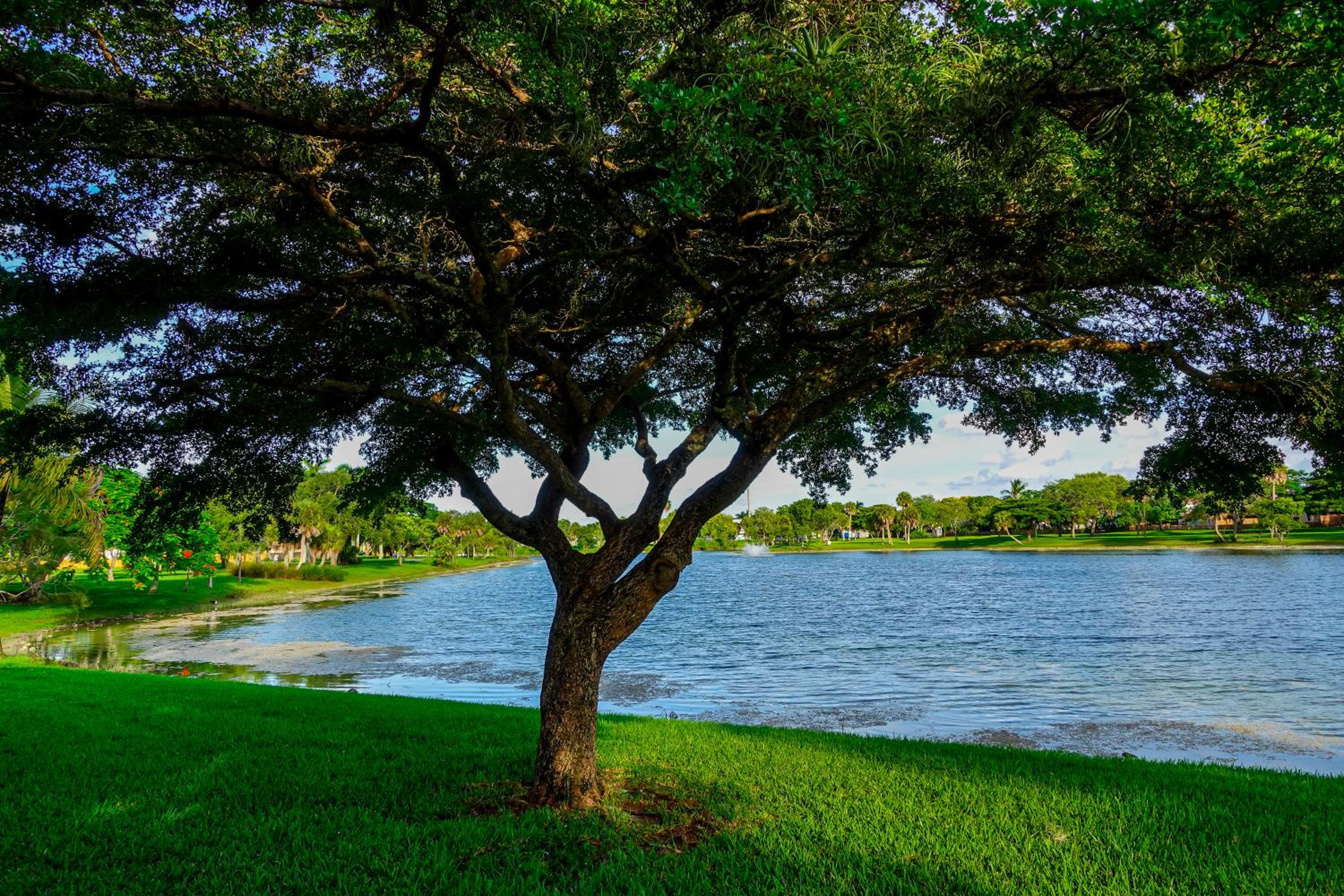 The Miamiville - Hidden Gem with Free Parking