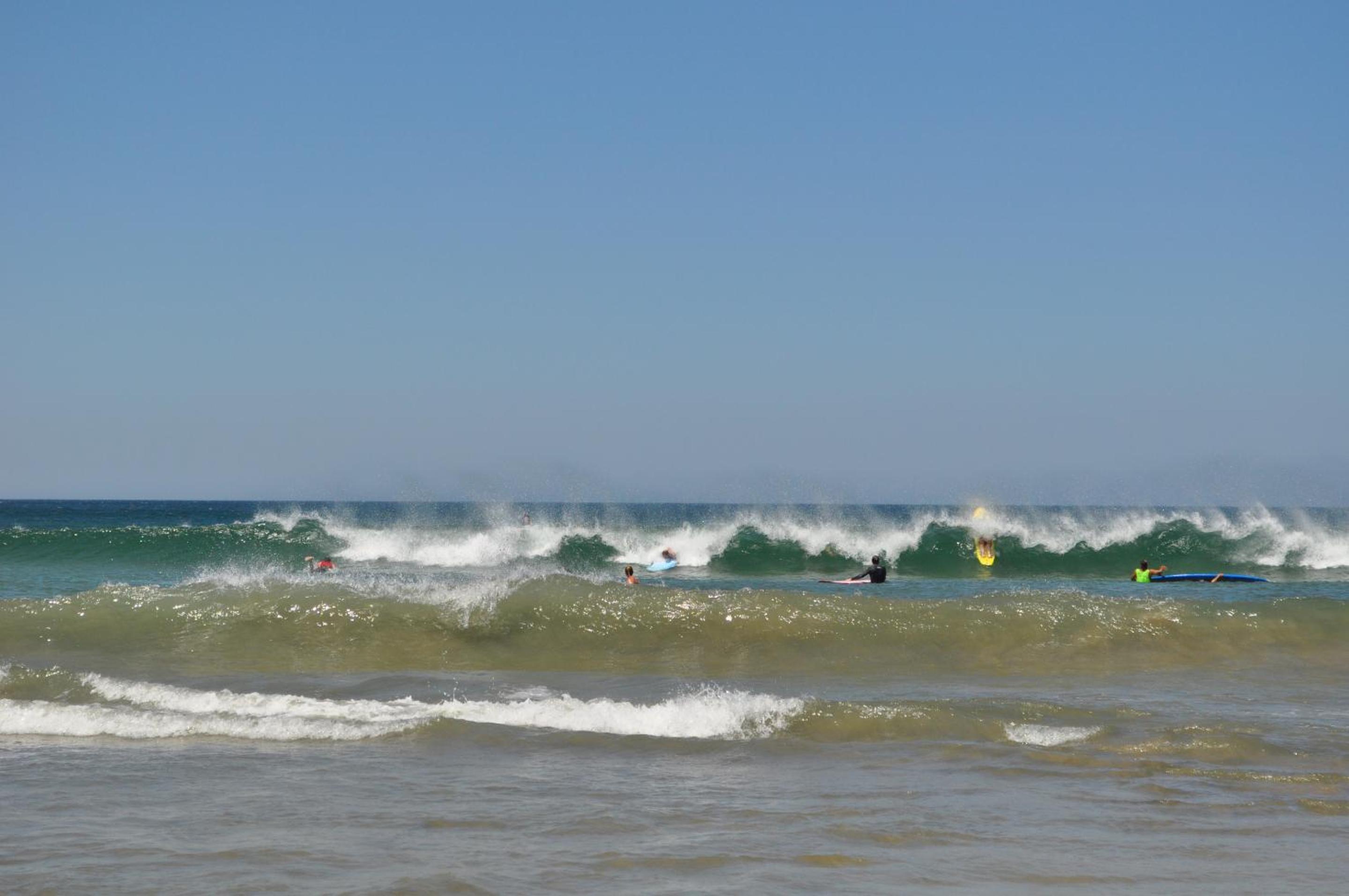Pierre and Colors TAMARINDO