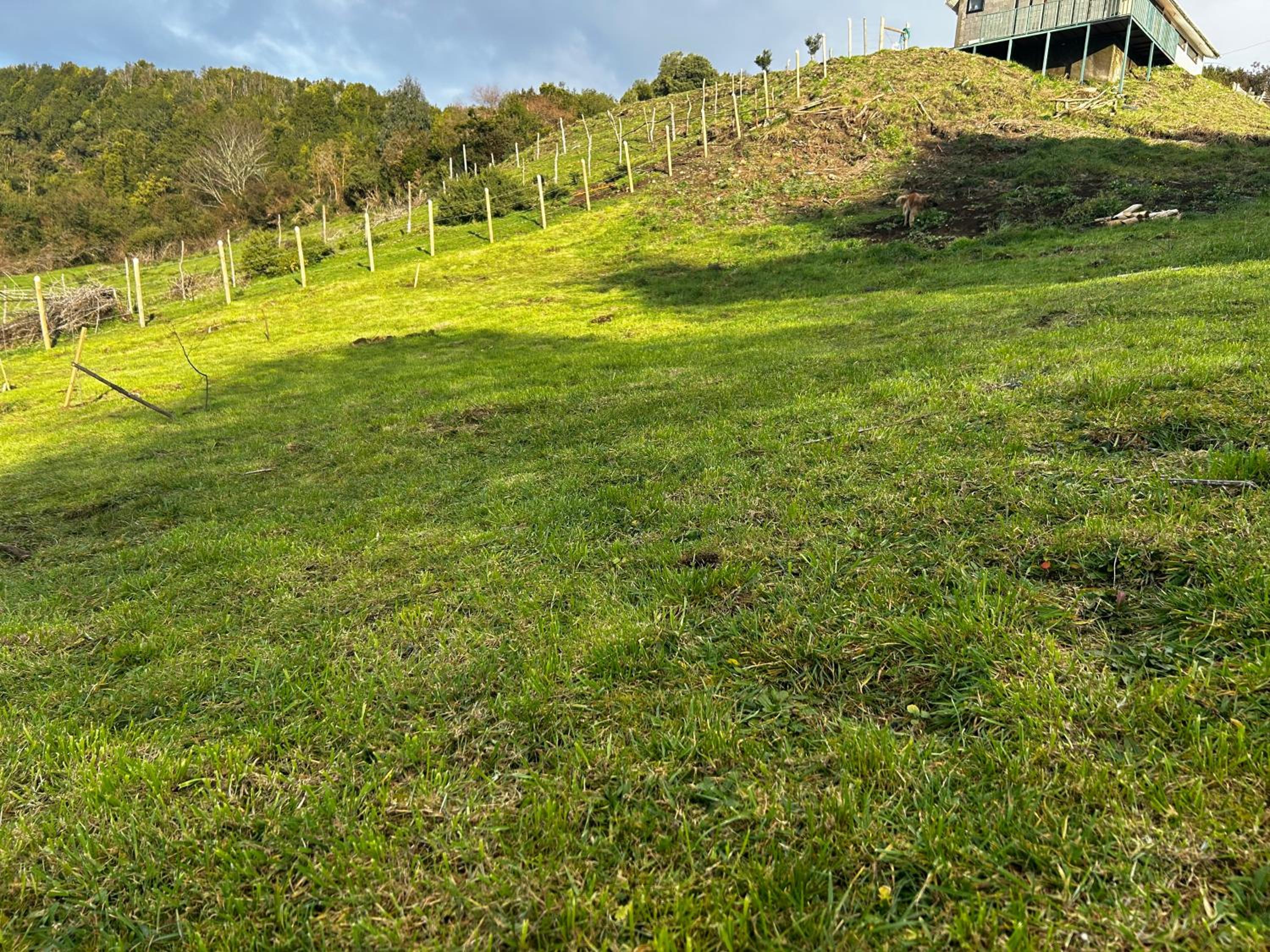 Cabaña del Llicanko