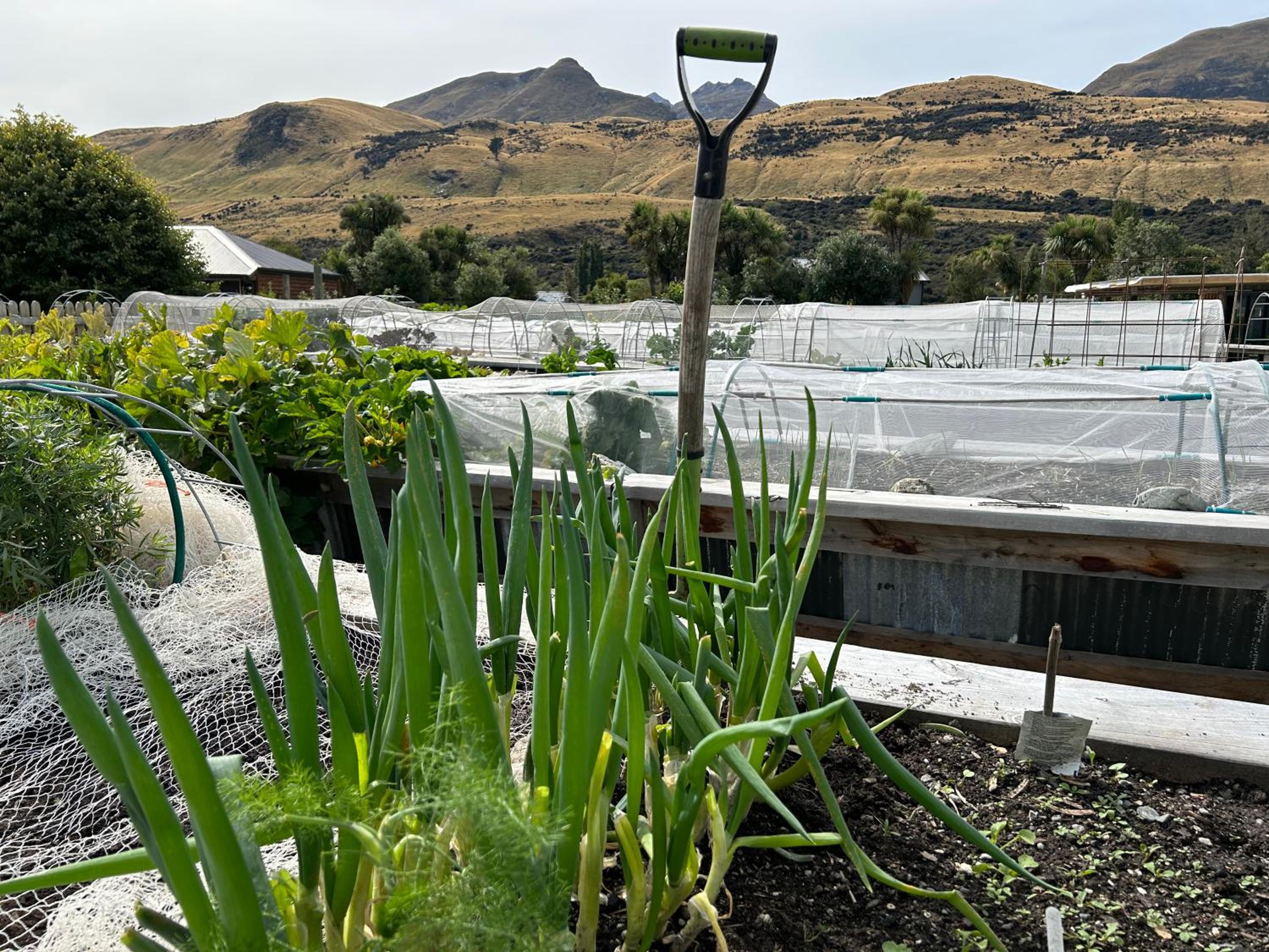 Headwaters Glenorchy Eco Lodge