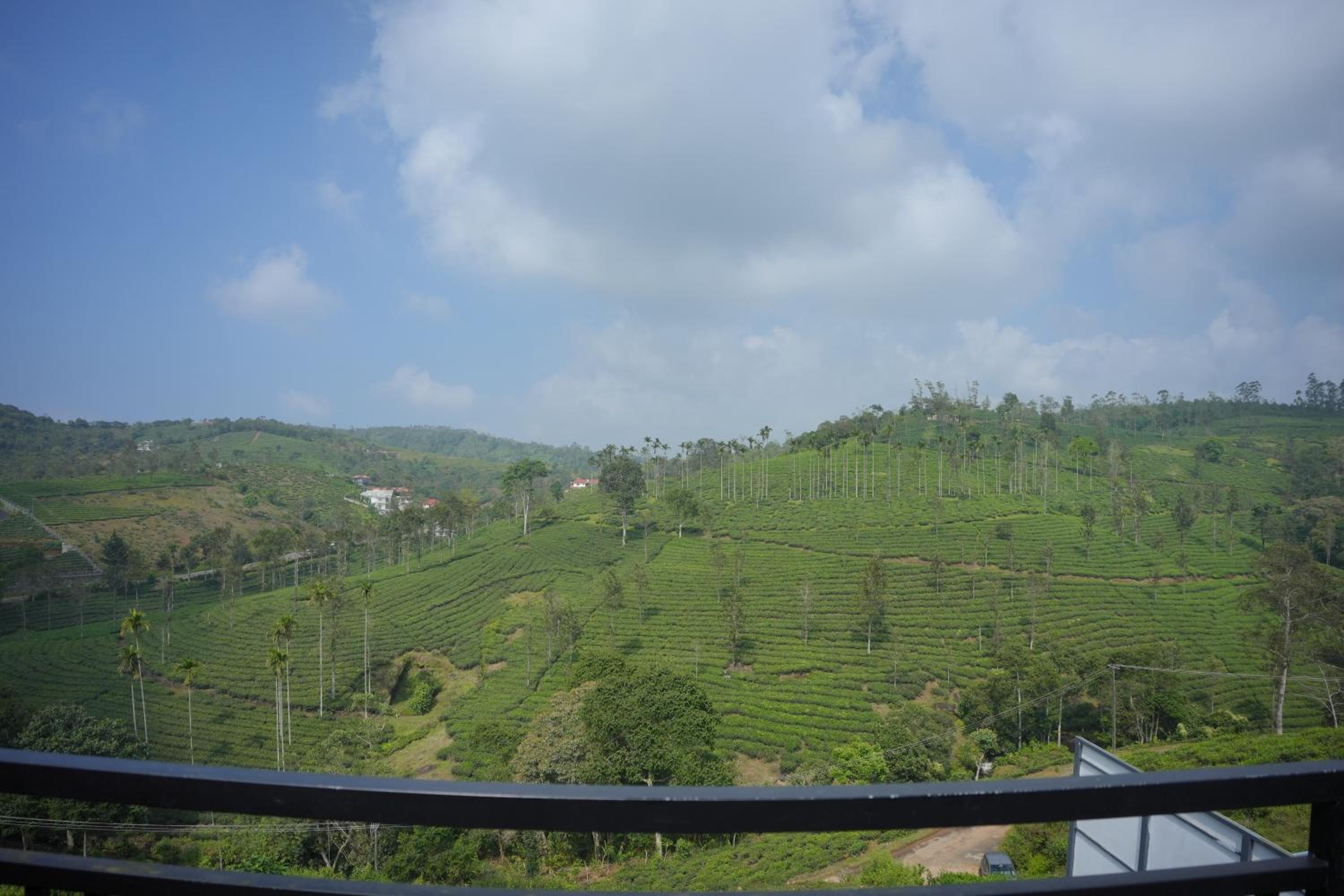 ZERA cottage view 4