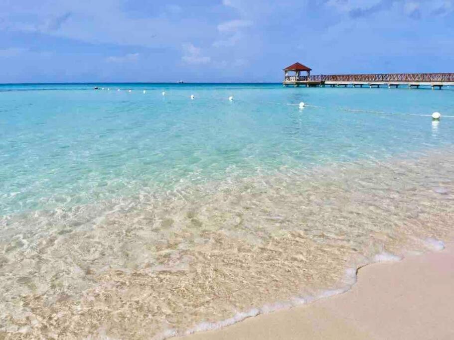 Vibe Gorgeous one bedroom apartment view beach