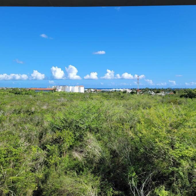 Vibe Gorgeous one bedroom apartment view beach