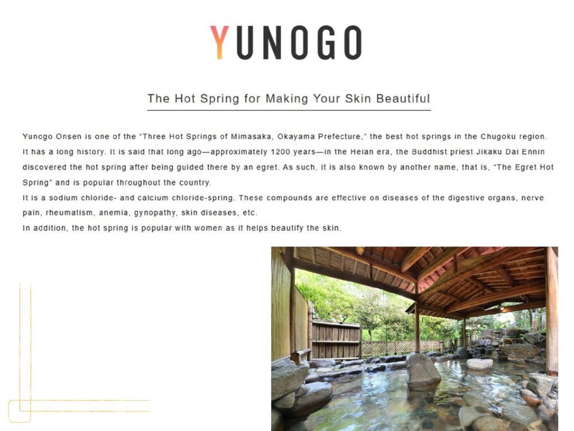 Yunogo Onsen HOTEL YUNOMORI BISYUNKAKU