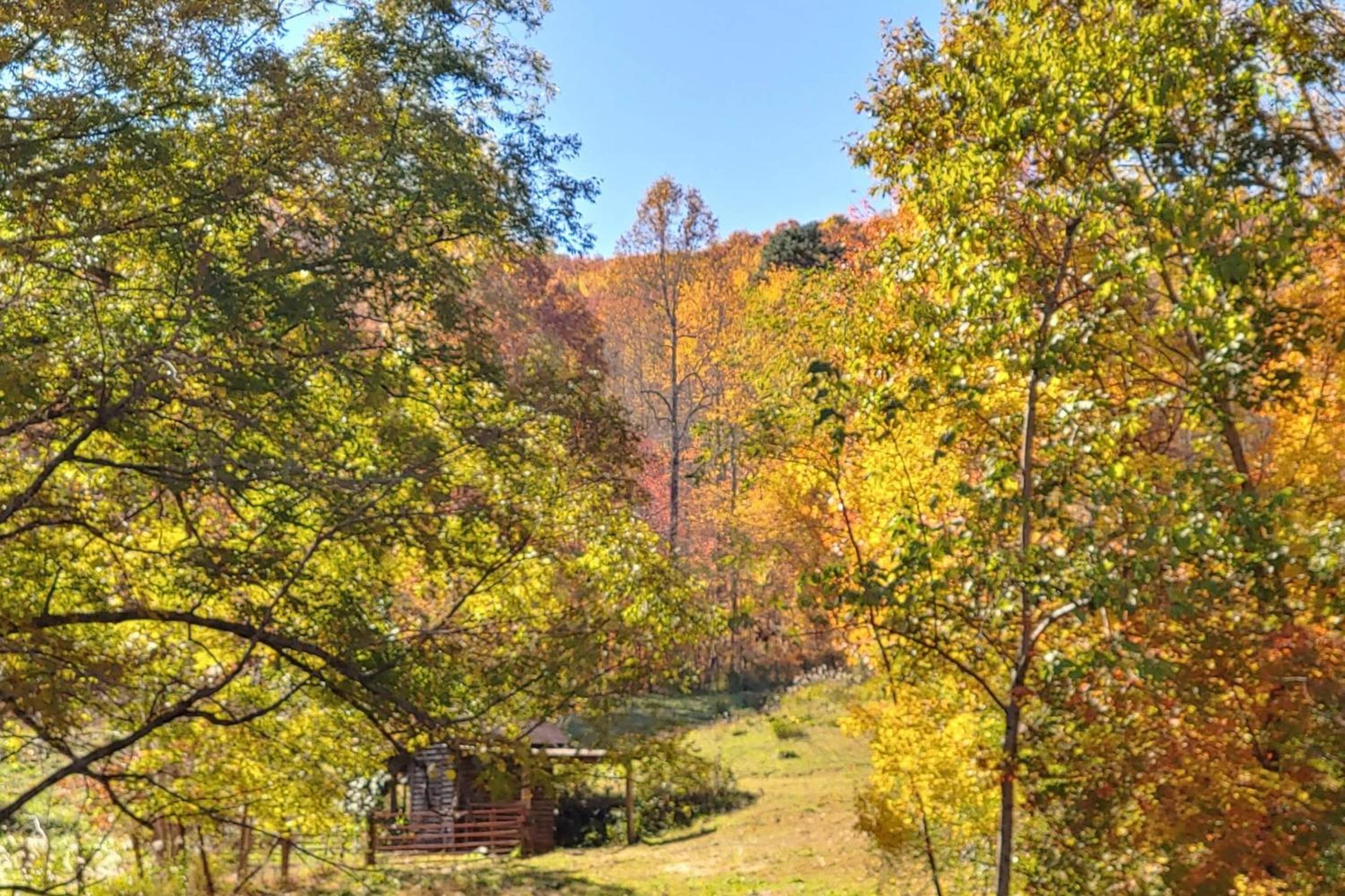 Charming Blue Ridge Cabin Private Pond and Waterfall Deer Haven by AvantStay