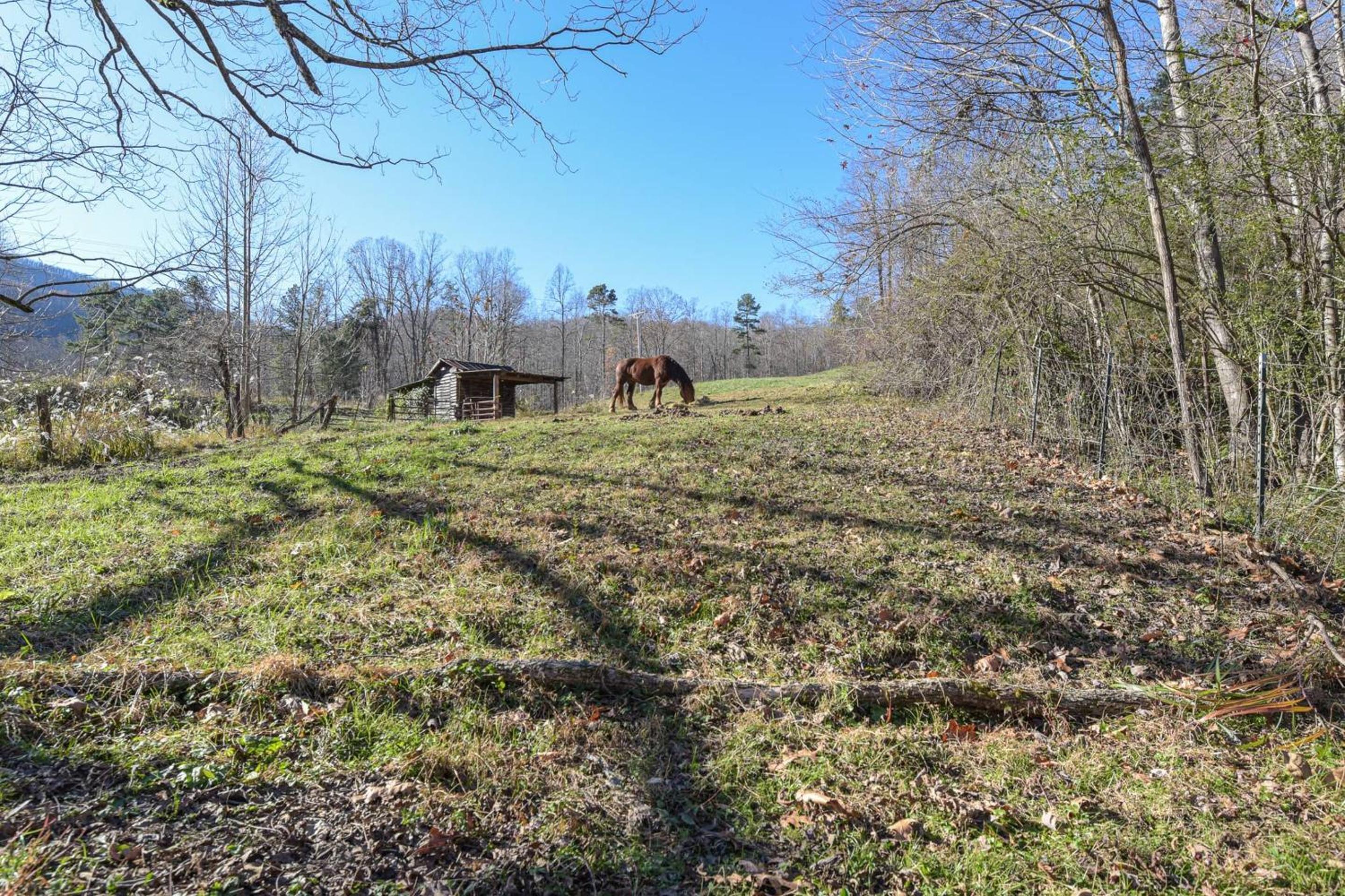 Charming Blue Ridge Cabin Private Pond and Waterfall Deer Haven by AvantStay