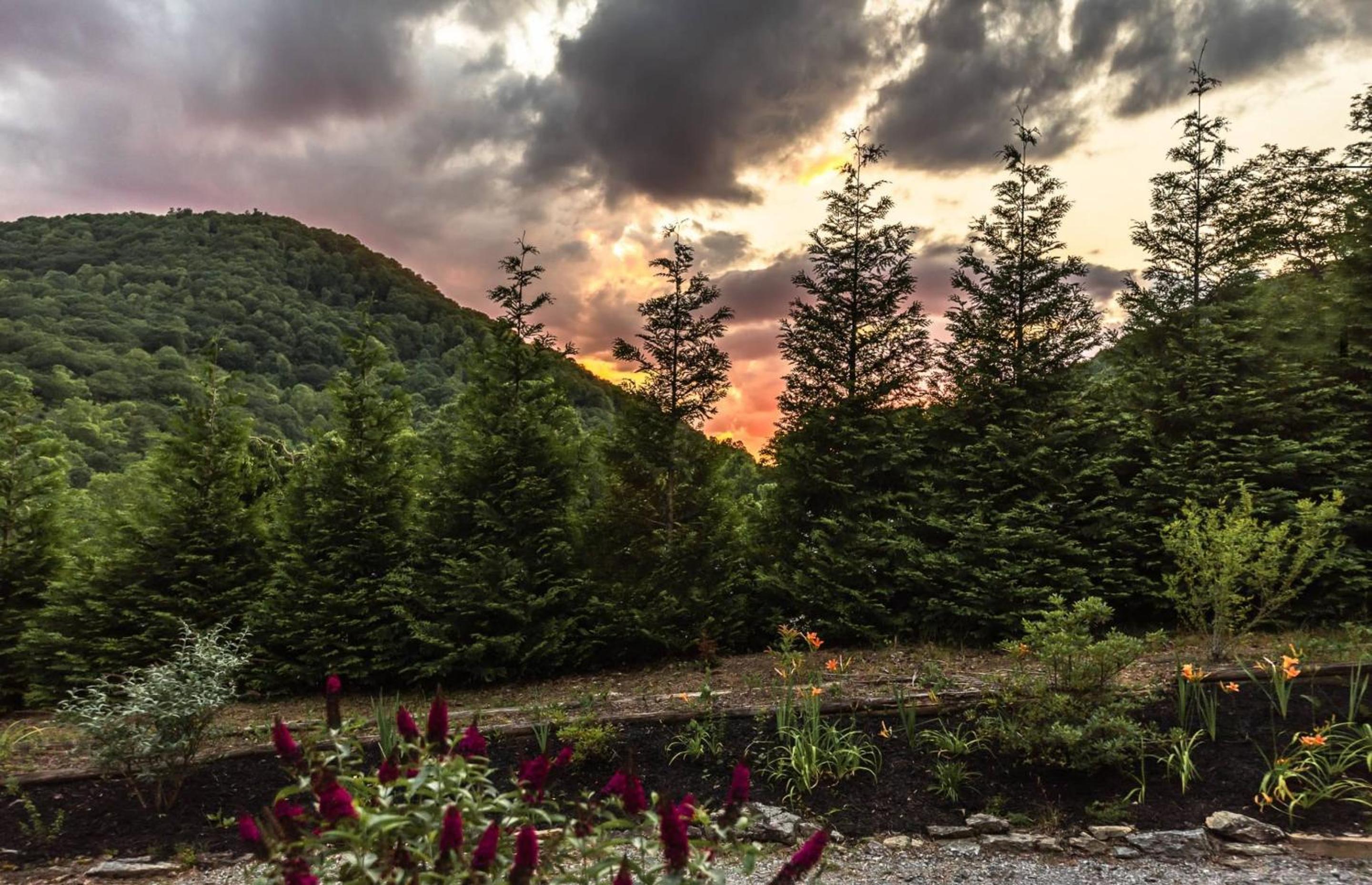 Hickory Nut Hideaway by AvantStay Mountain Views