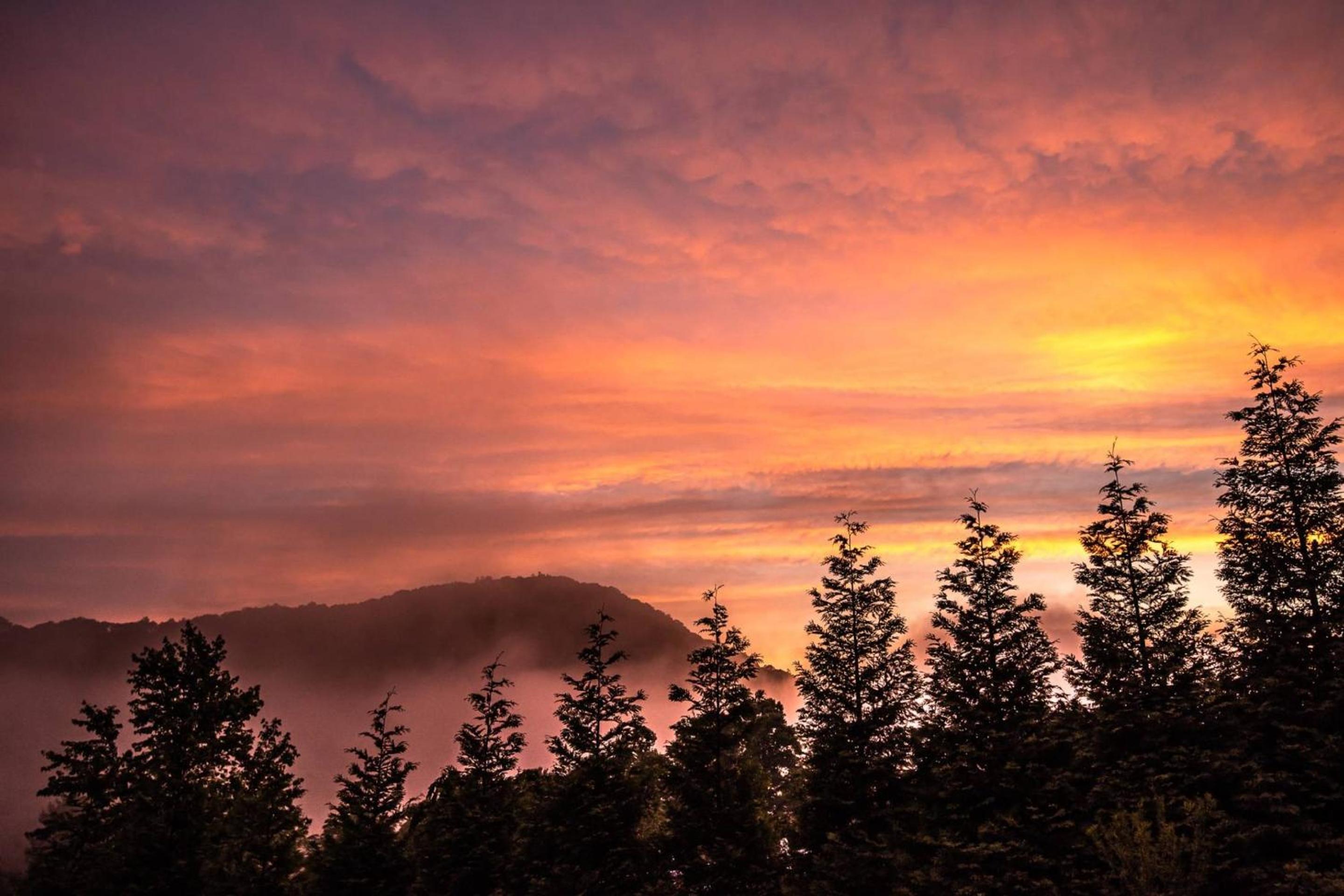 Hickory Nut Hideaway by AvantStay Mountain Views