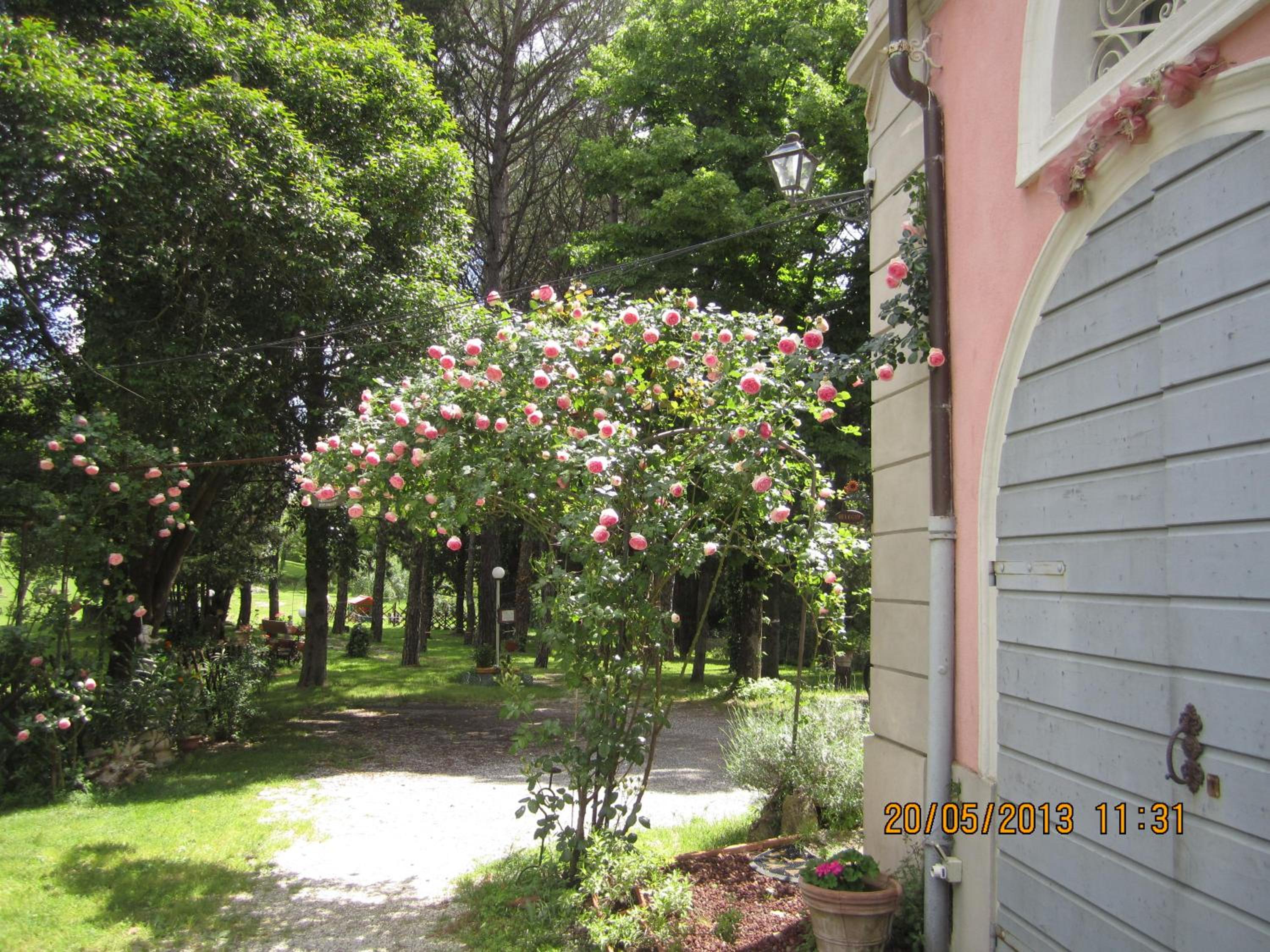 Villa Arianna B&B