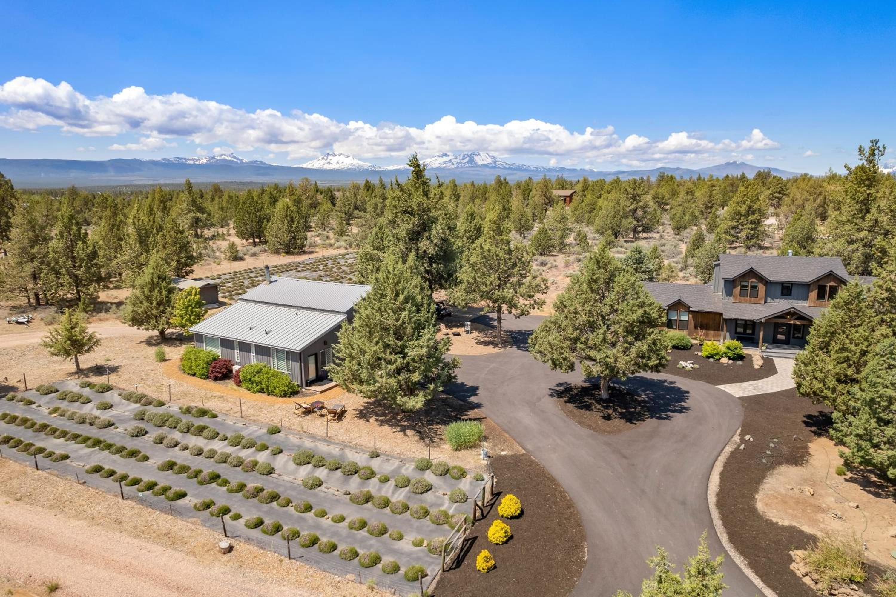The Gem Estate by AvantStay Modern Farmhouse w Lavender Fields Hot Tub