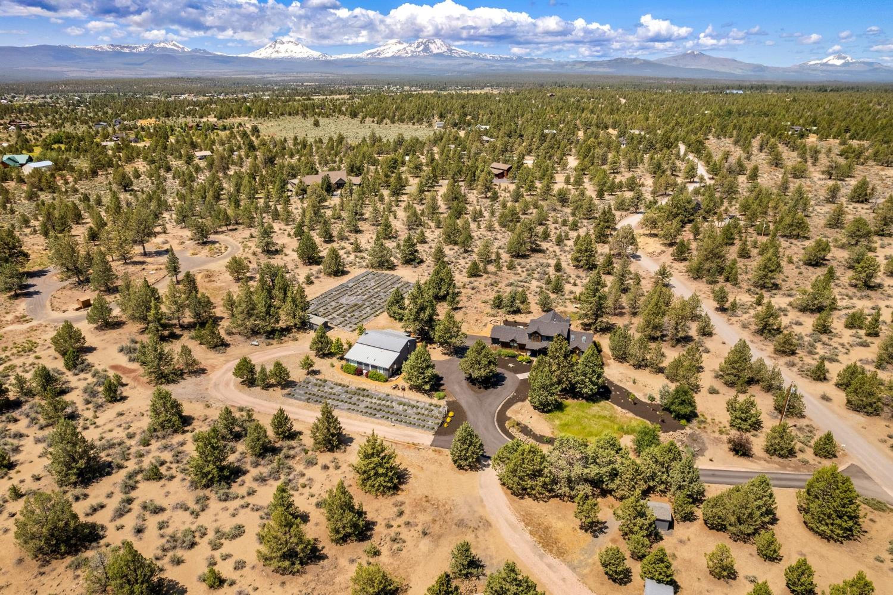 The Gem Estate by AvantStay Modern Farmhouse w Lavender Fields Hot Tub