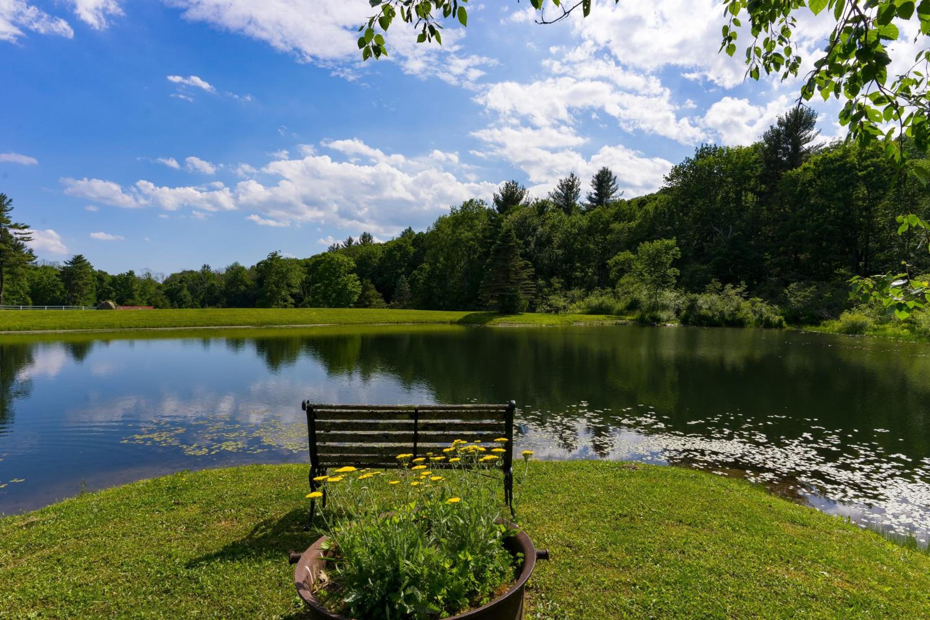 Secluded Estate • Optional Guest House Pond Playroom Gym Theater Sunny Pond by AvantStay