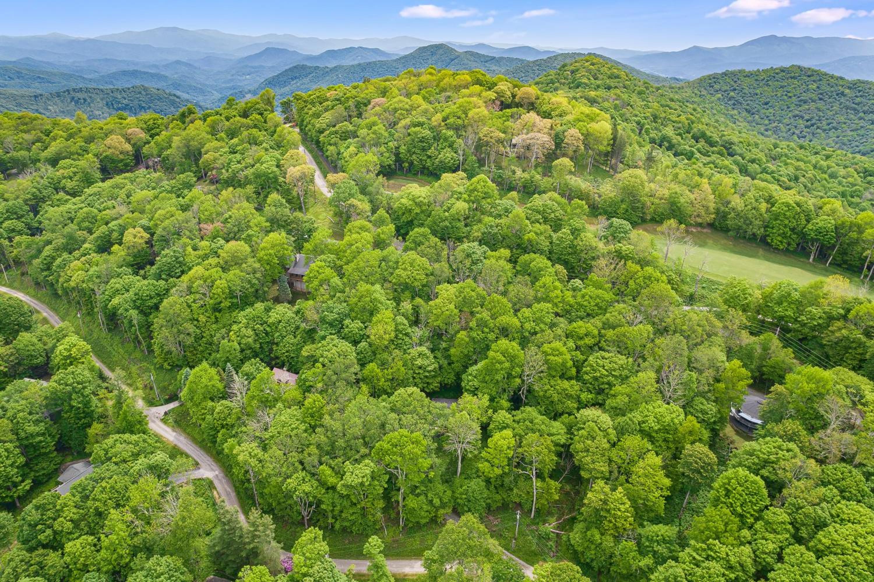 Deck w Forest Views Ping Pong Blue Ridge Mtn Escape Ash Vale by AvantStay