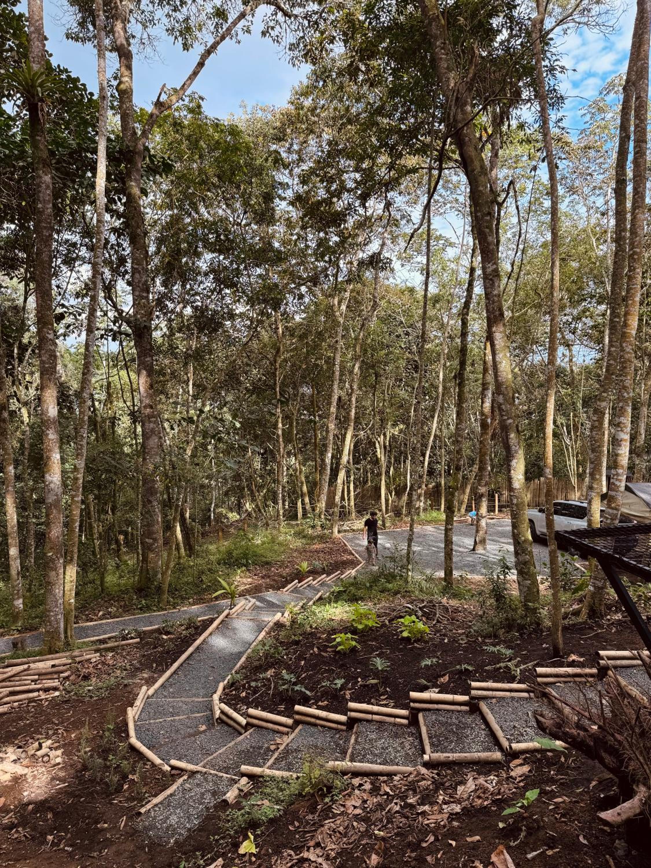 El Bosque - Lago Calima