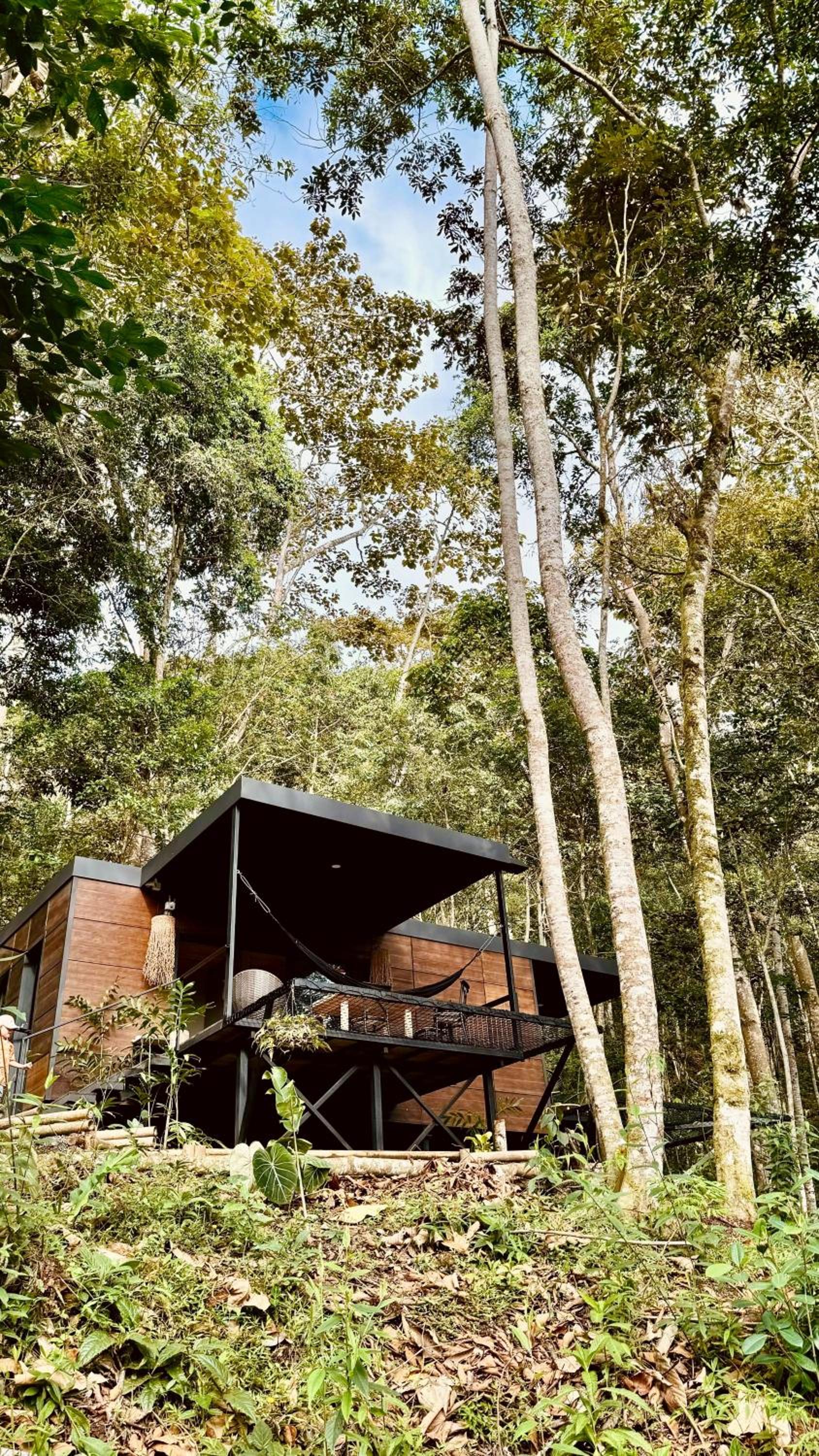 El Bosque - Lago Calima