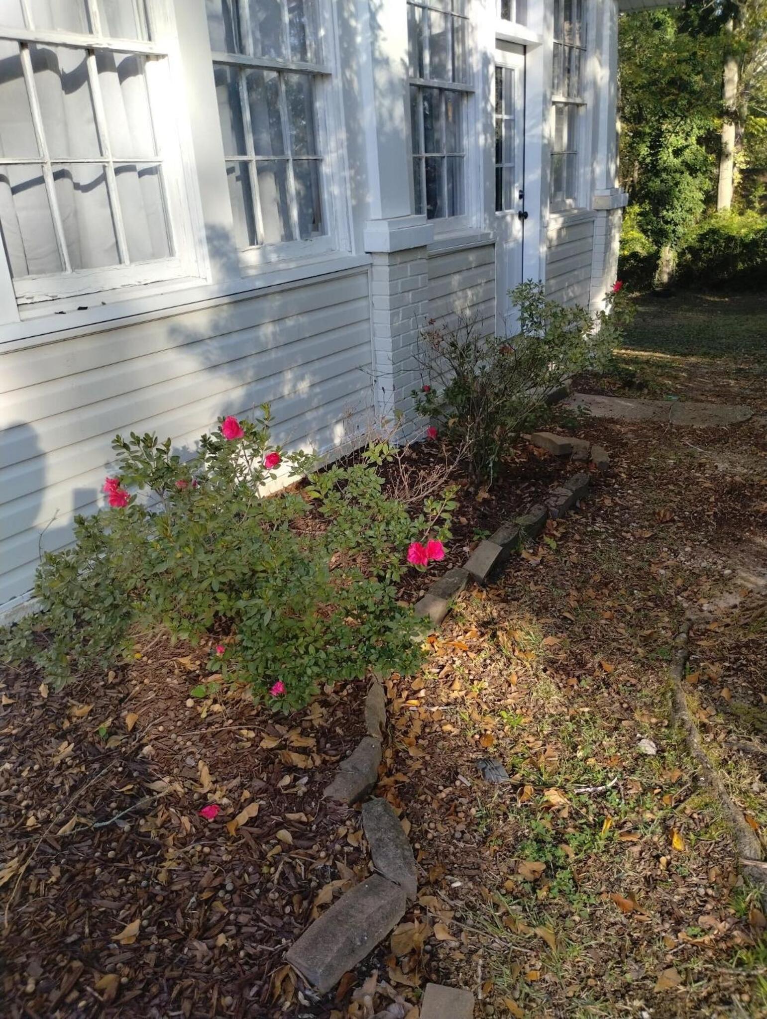 Photo 35