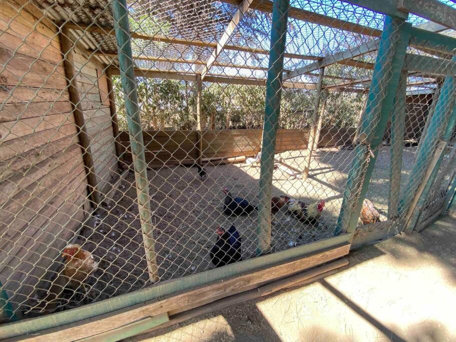 Casa en Maitencillo para descansar en familia