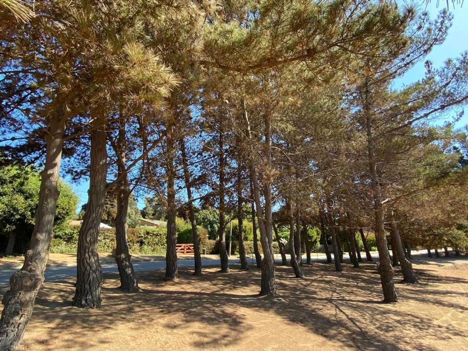 Casa en Maitencillo para descansar en familia