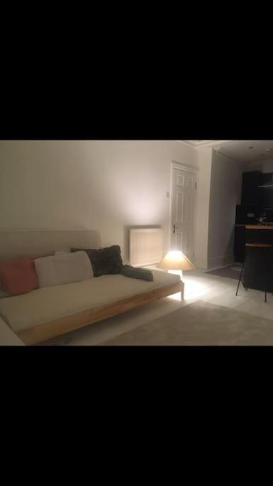 Top floor 1 bedroom, Princes Avenue view 4