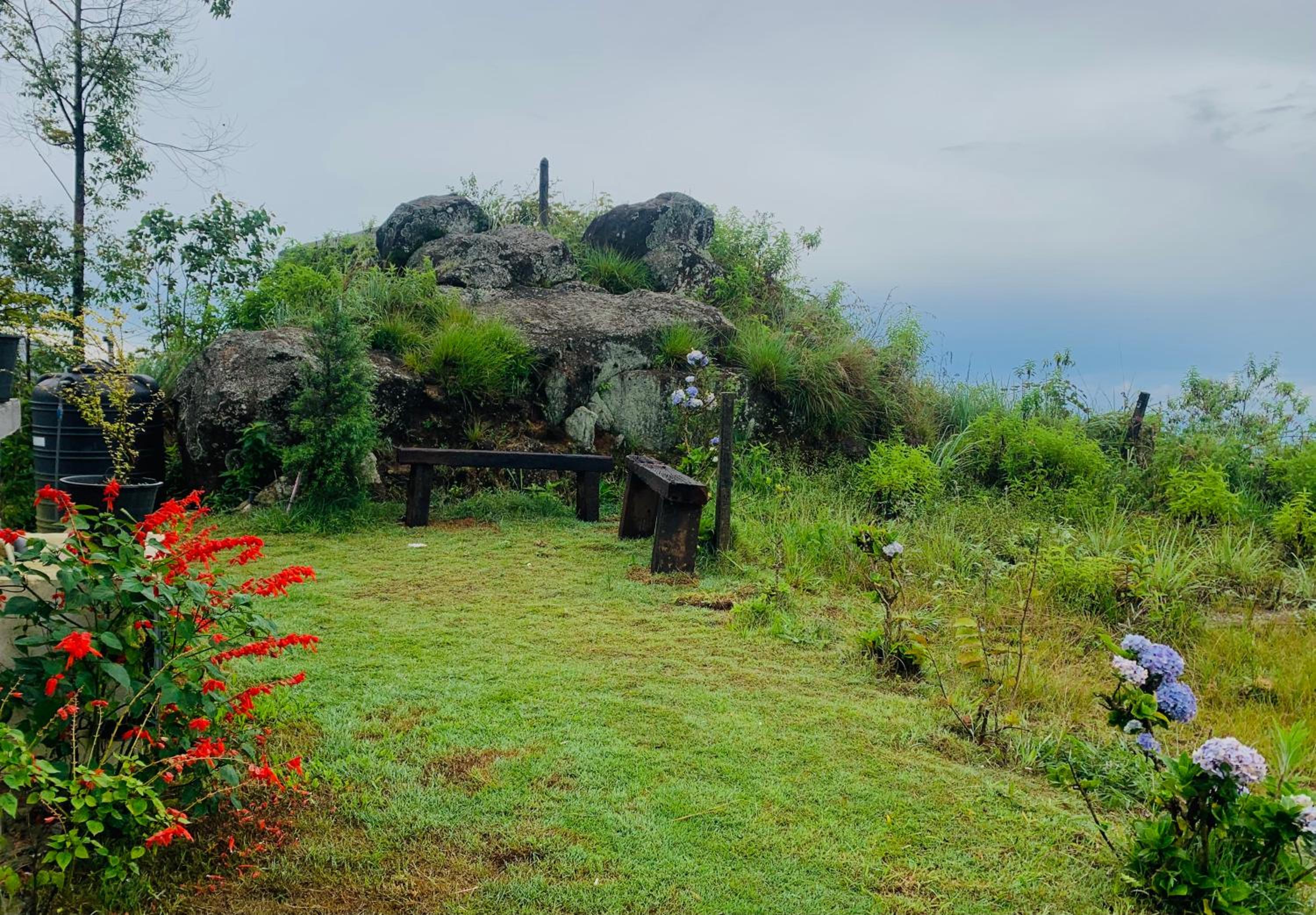The Fog House