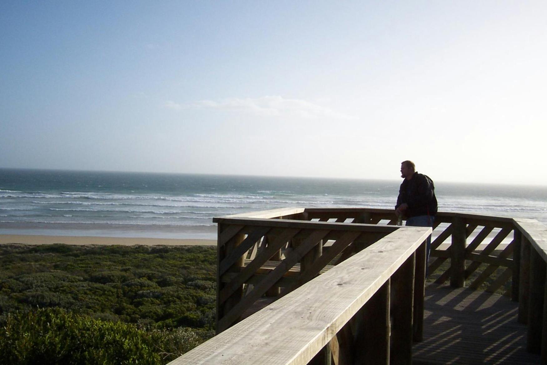 Banksia Views