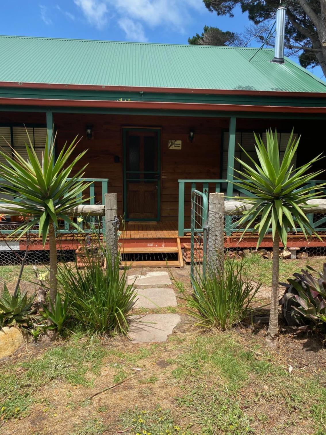 Banksia Views
