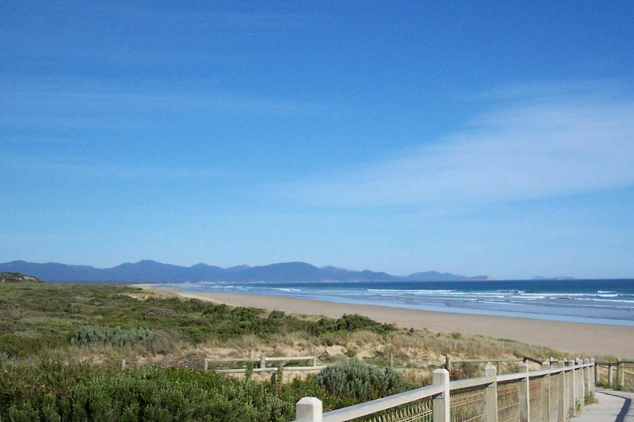 Banksia Views