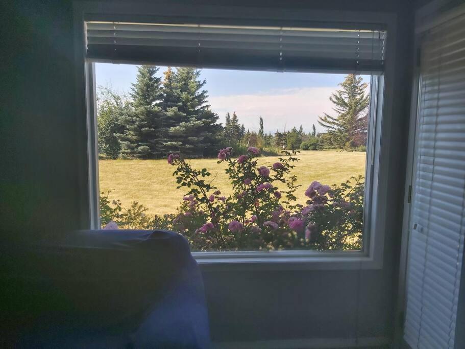 Countryside Escape - Private Suite with Scenic View
