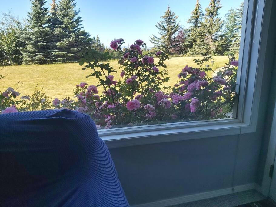 Countryside Escape - Private Suite with Scenic View