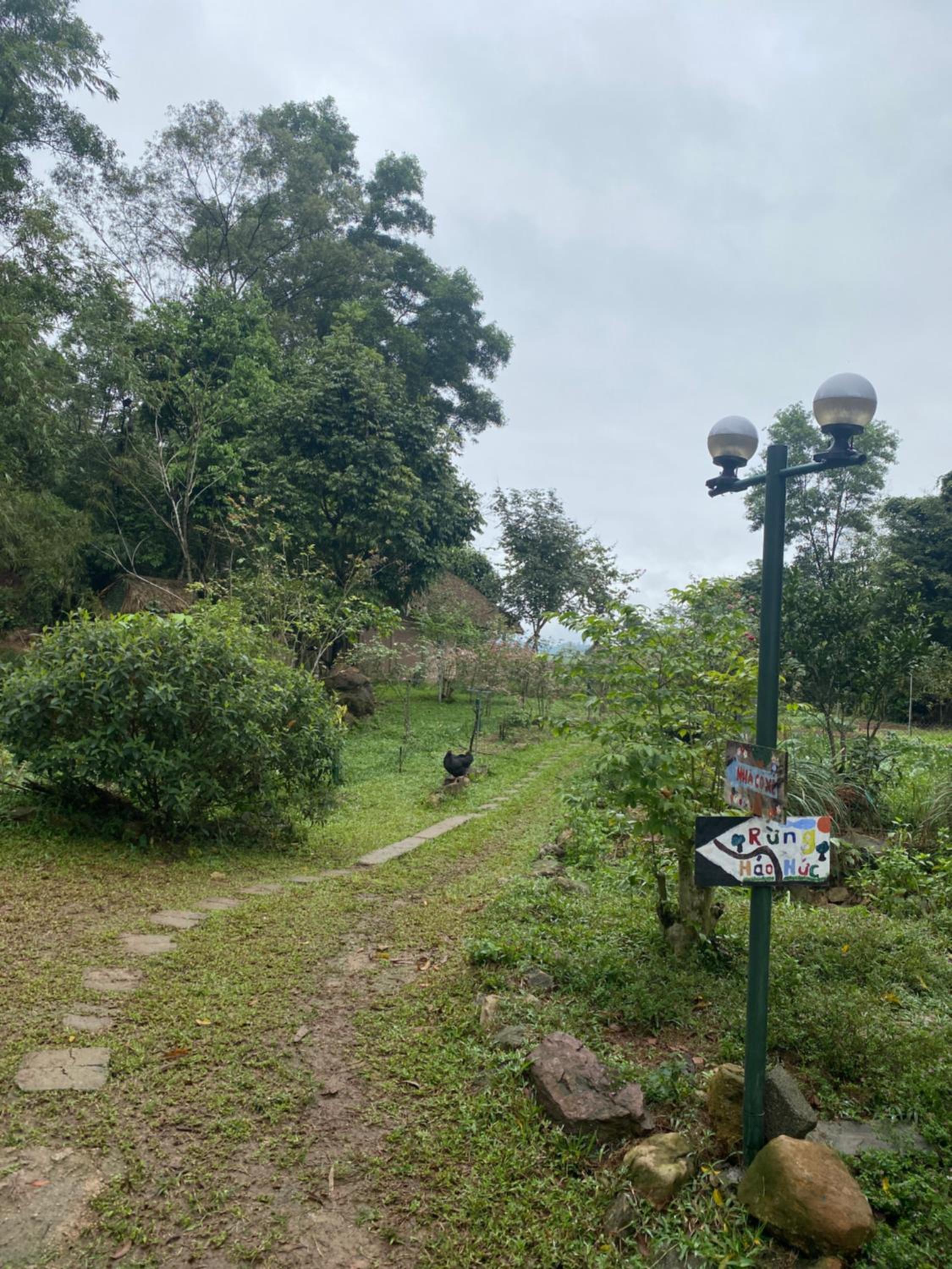 Háo Hức Village, Thai Nguyen view 4