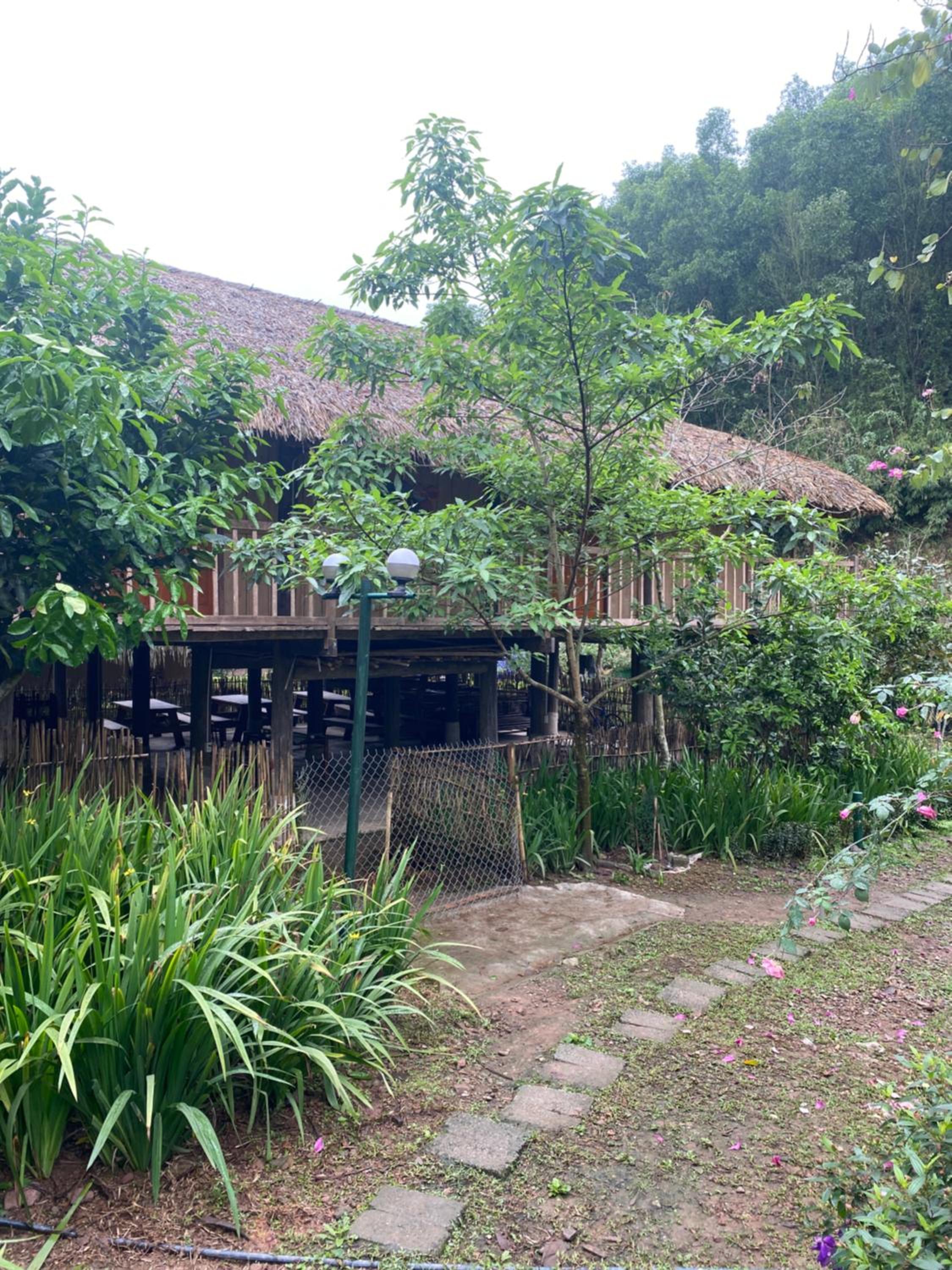 Photo 11