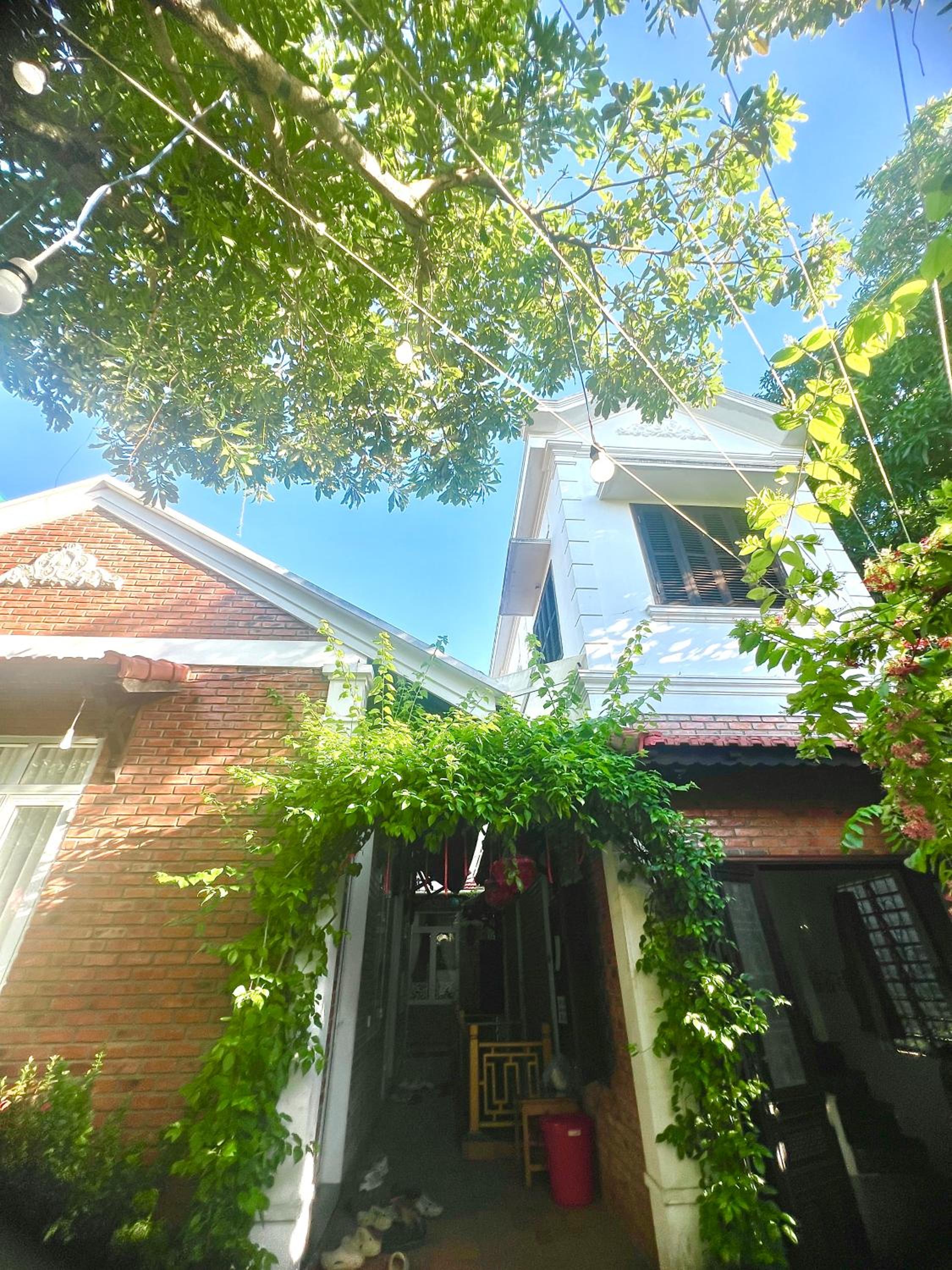 Q' Homestay & Villa Garden view 4