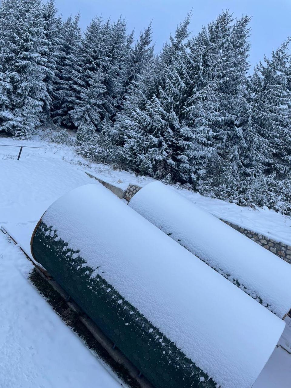 Bungalows Tea Žabljak photo 5